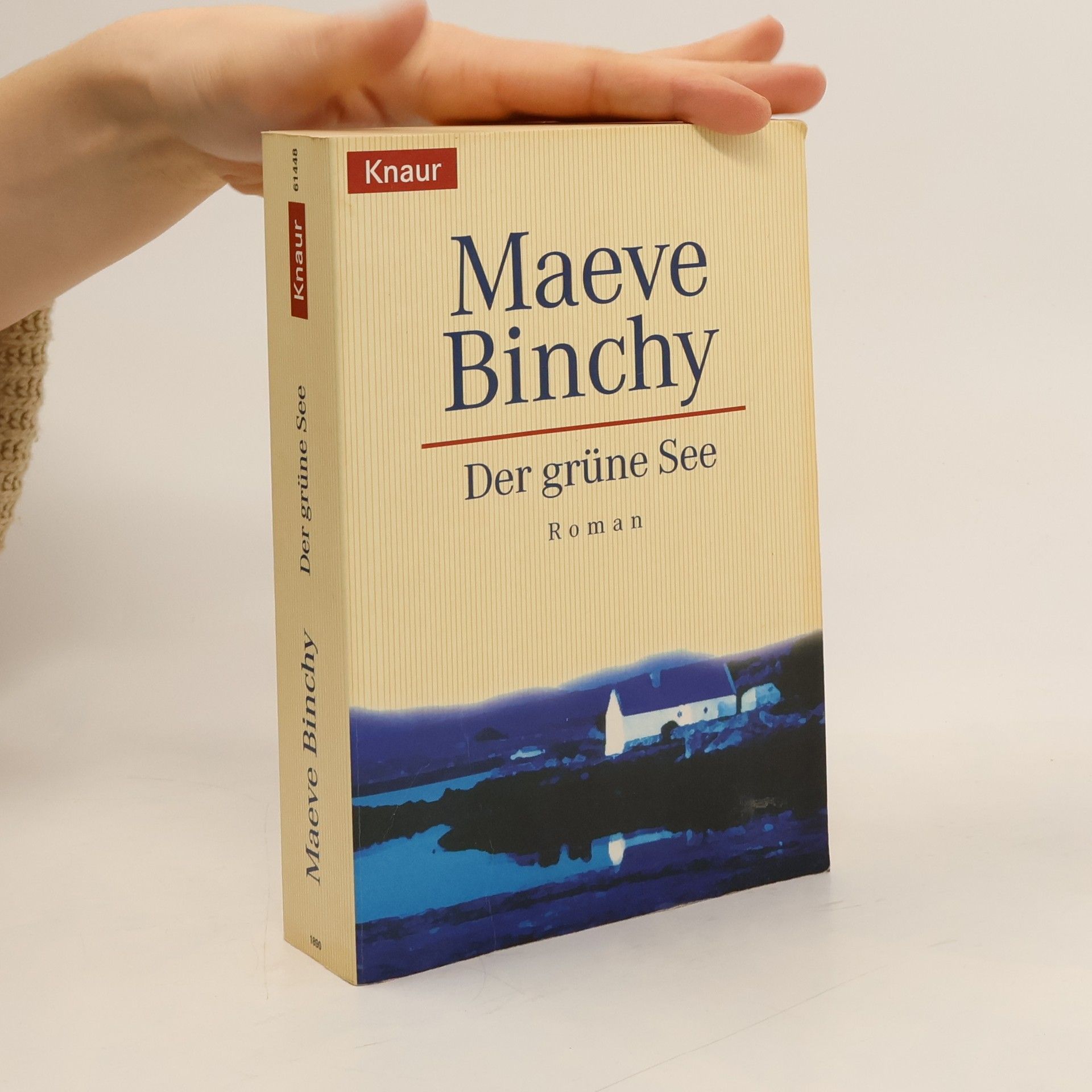 Maeve Binchy Der grüne See