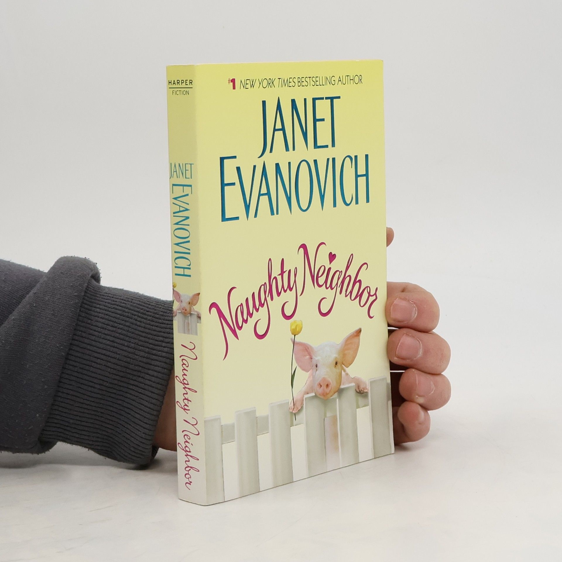 Janet Evanovich Naughty Neighbor