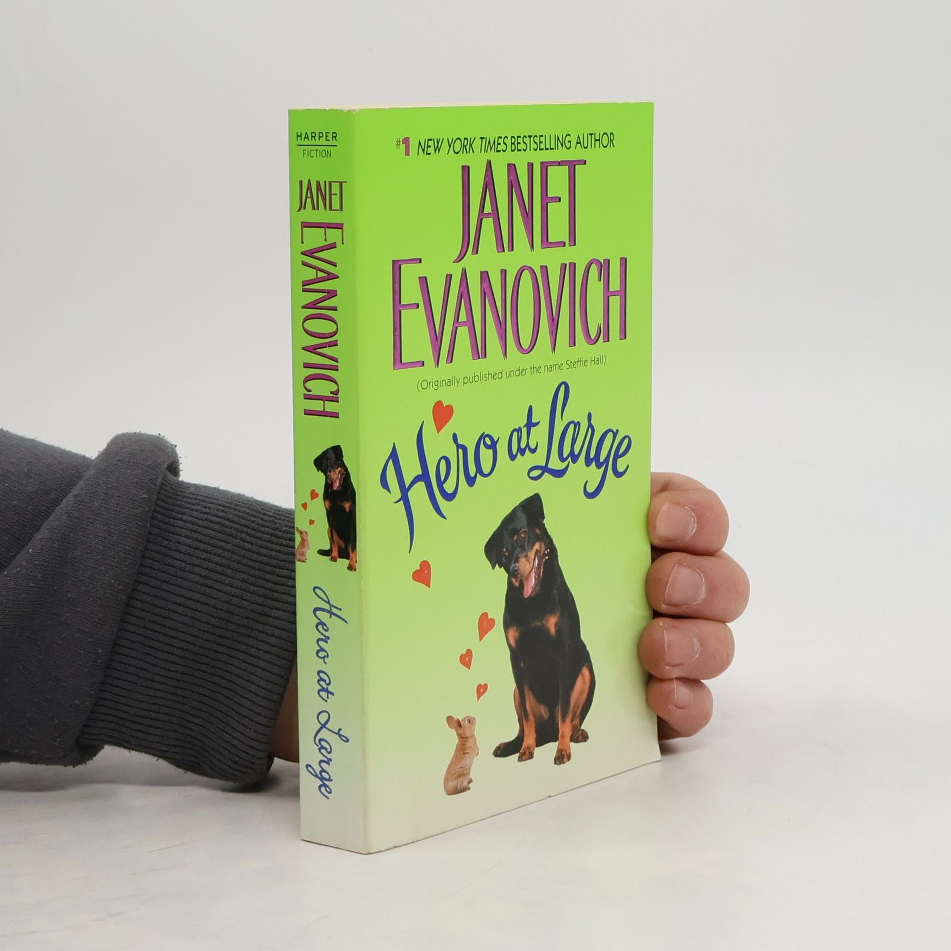 Janet Evanovich Hero at Large