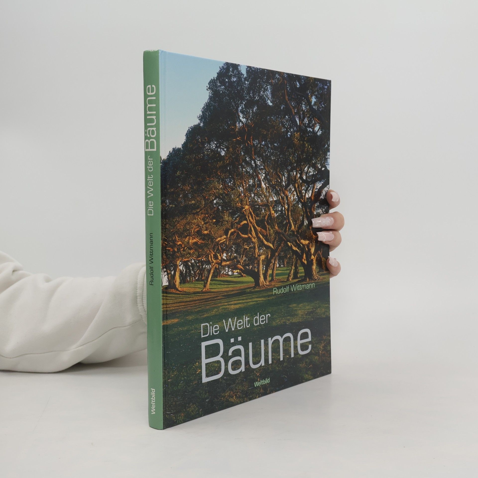 Rudolf Wittmann Die Welt der Bäume