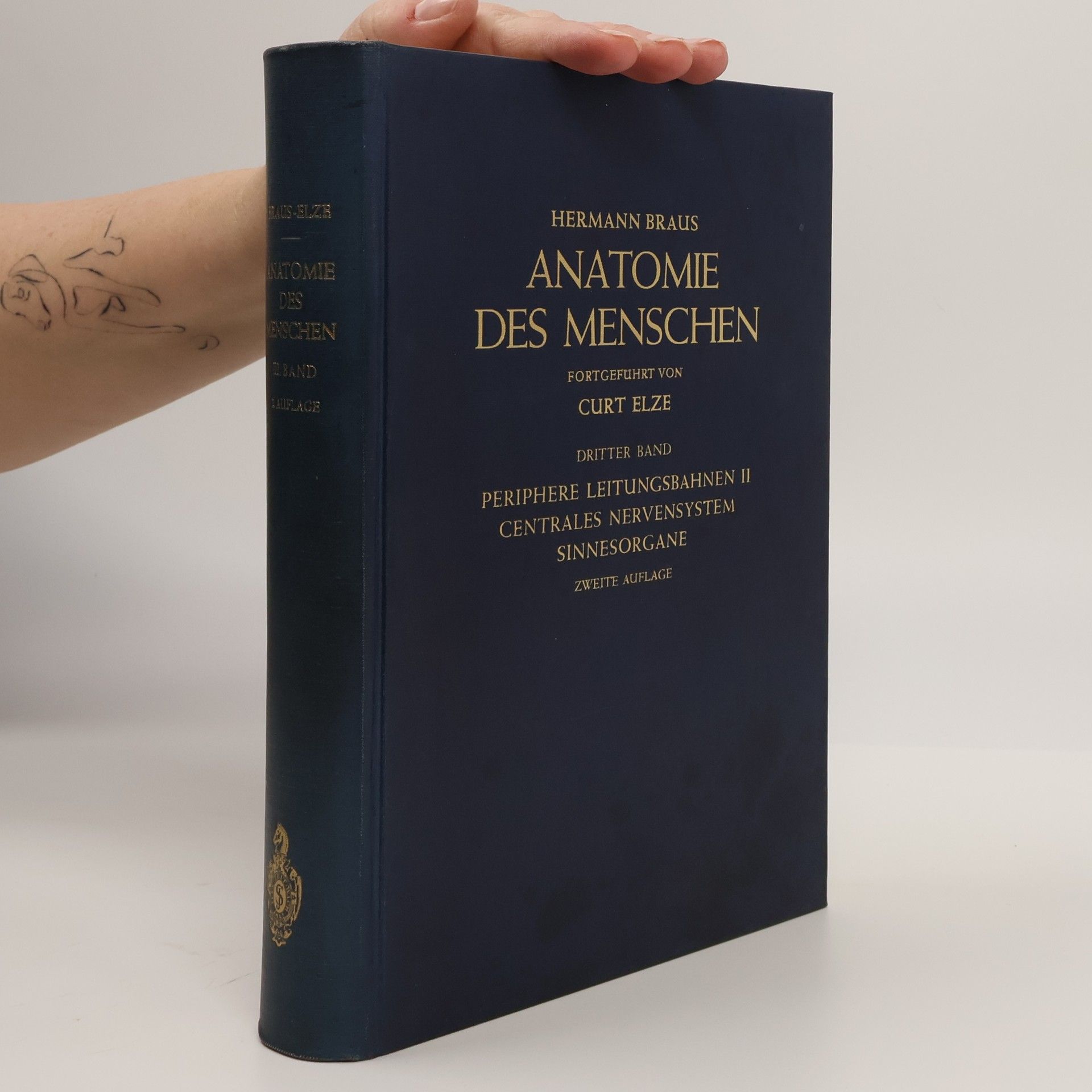 Anatomie des Menschen