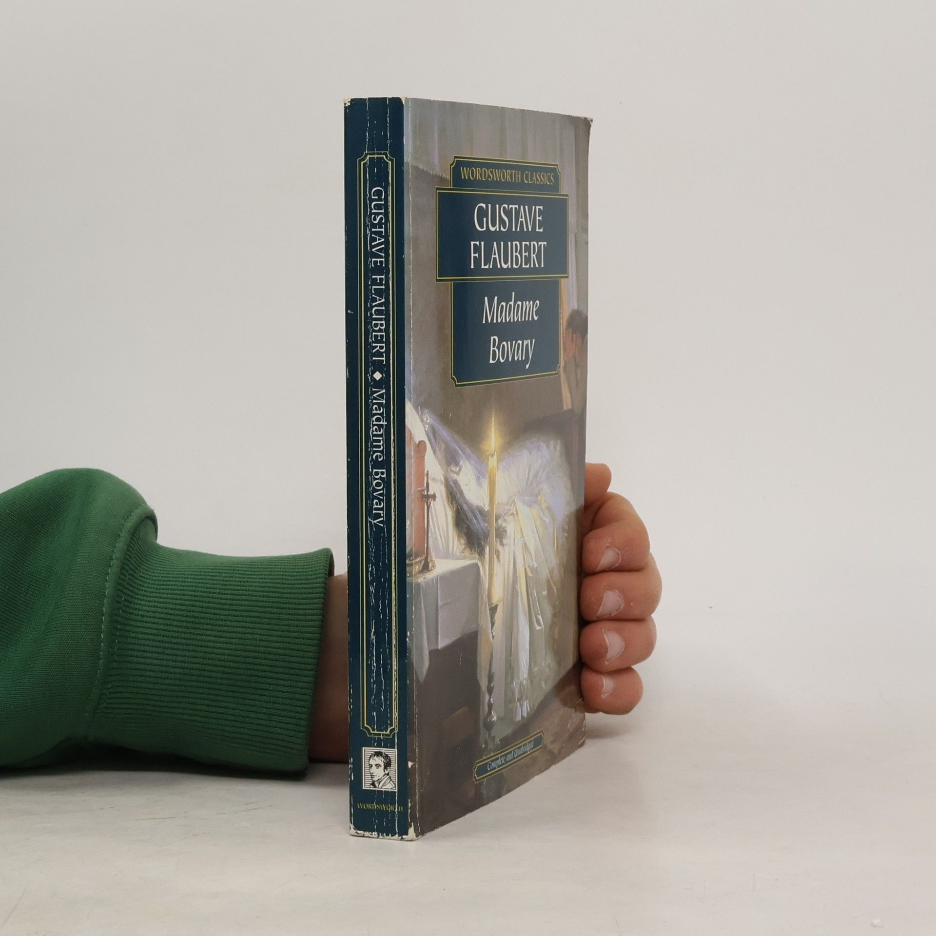Gustave Flaubert Madame Bovary