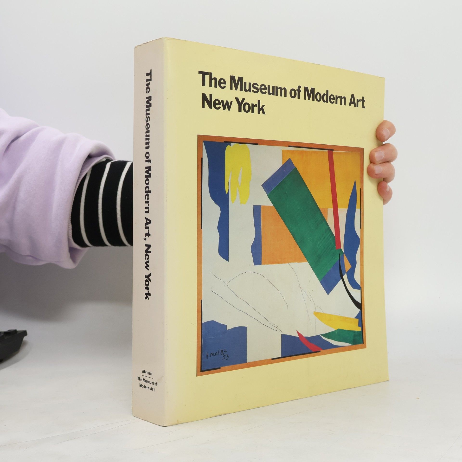 Museum of Modern Art New York