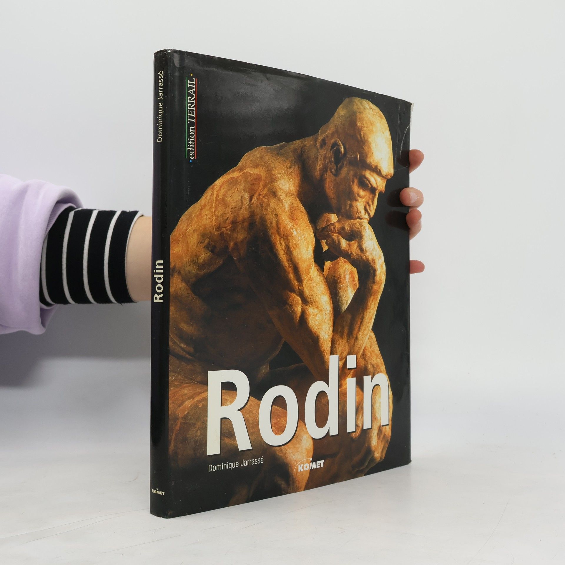 Dominique Jarrassé Rodin