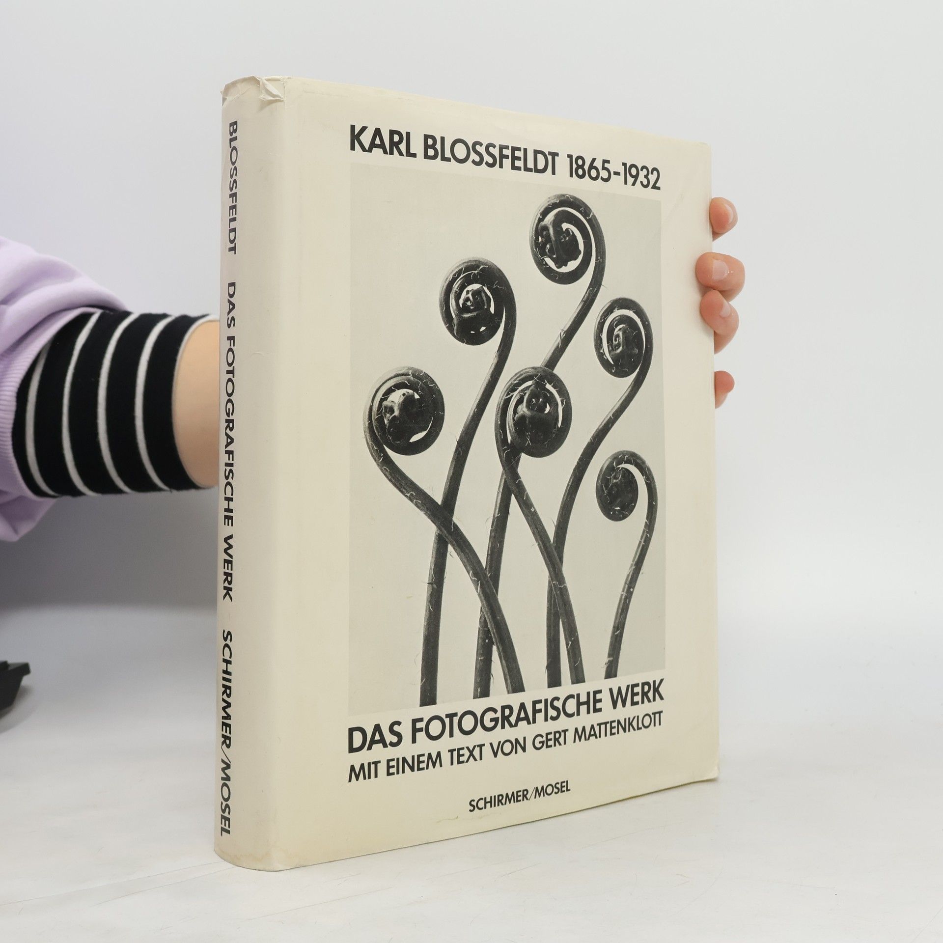 Karl Blossfeldt Das photographische Werk