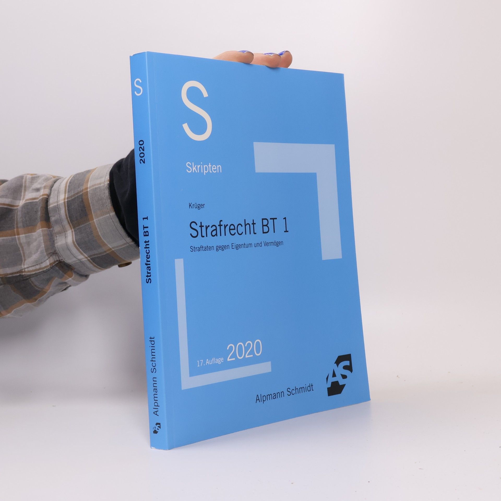 Rolf Krüger Skript Strafrecht BT 1