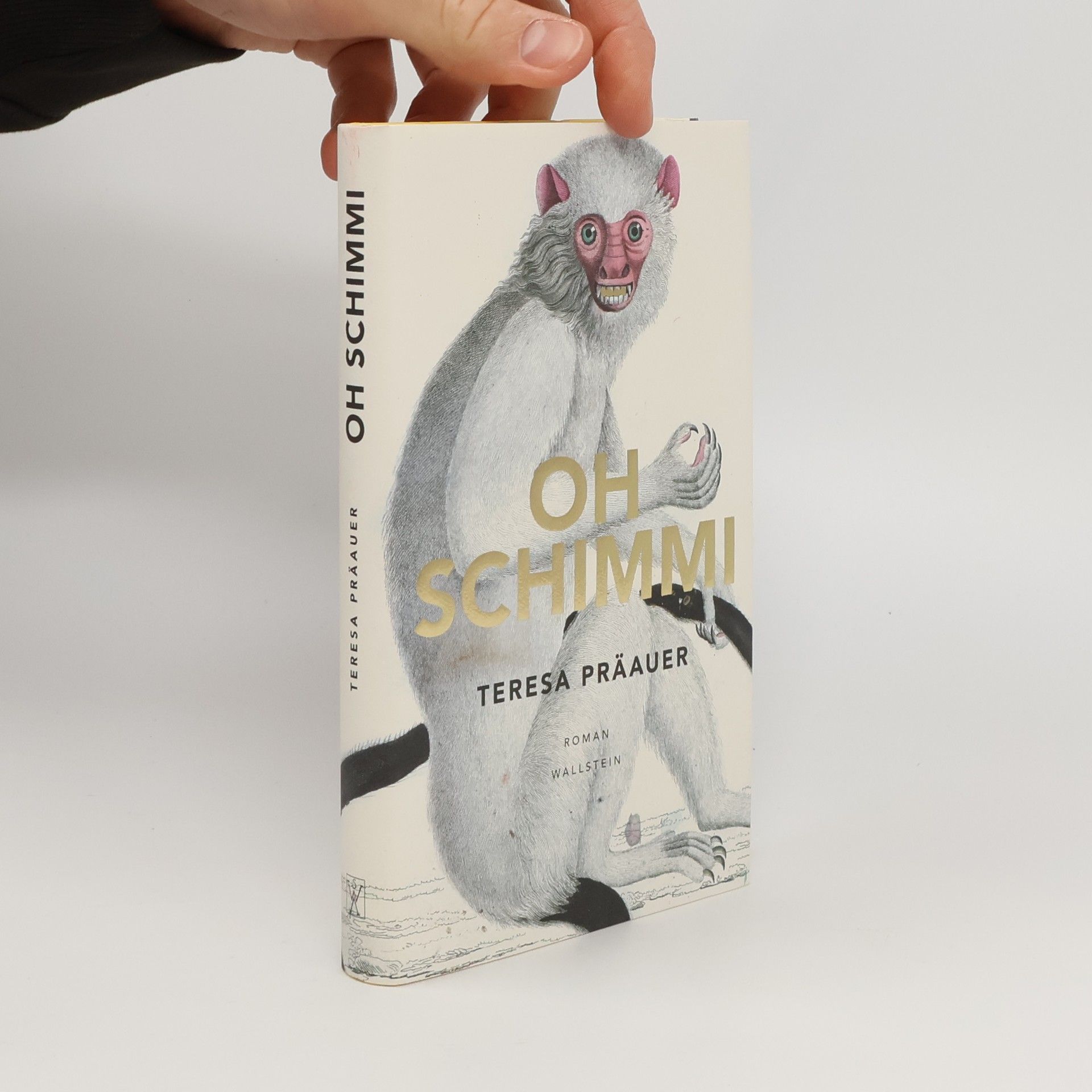 Teresa Präauer Oh Schimmi