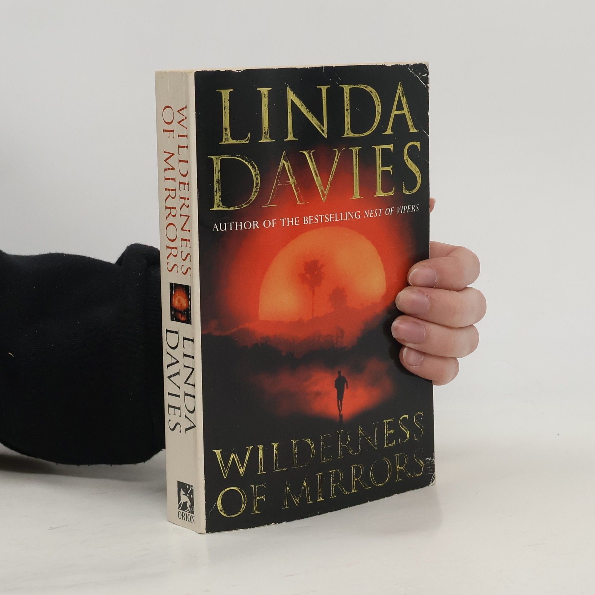 Linda Davies Wilderness of Mirrors