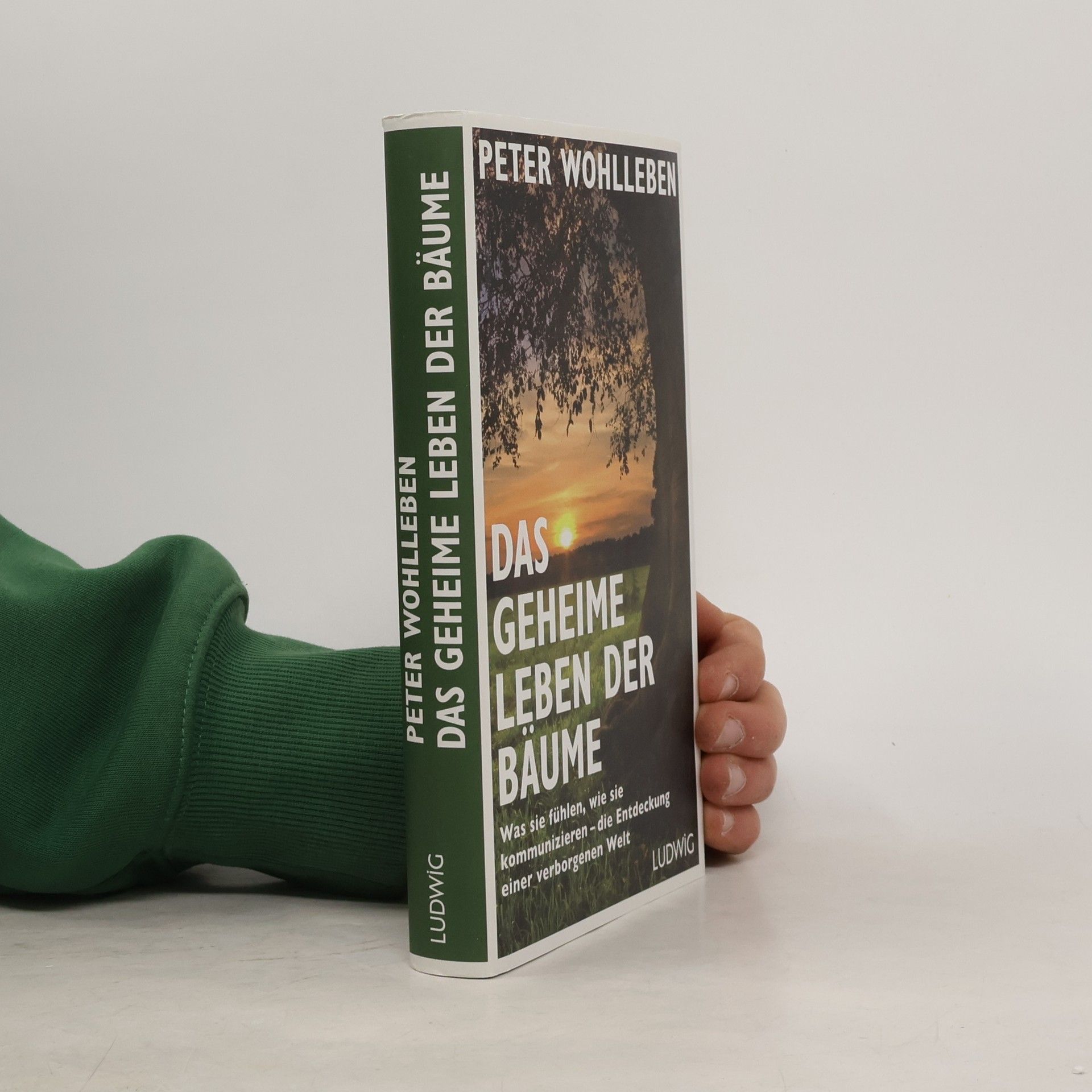 Das geheime Leben der Bäume