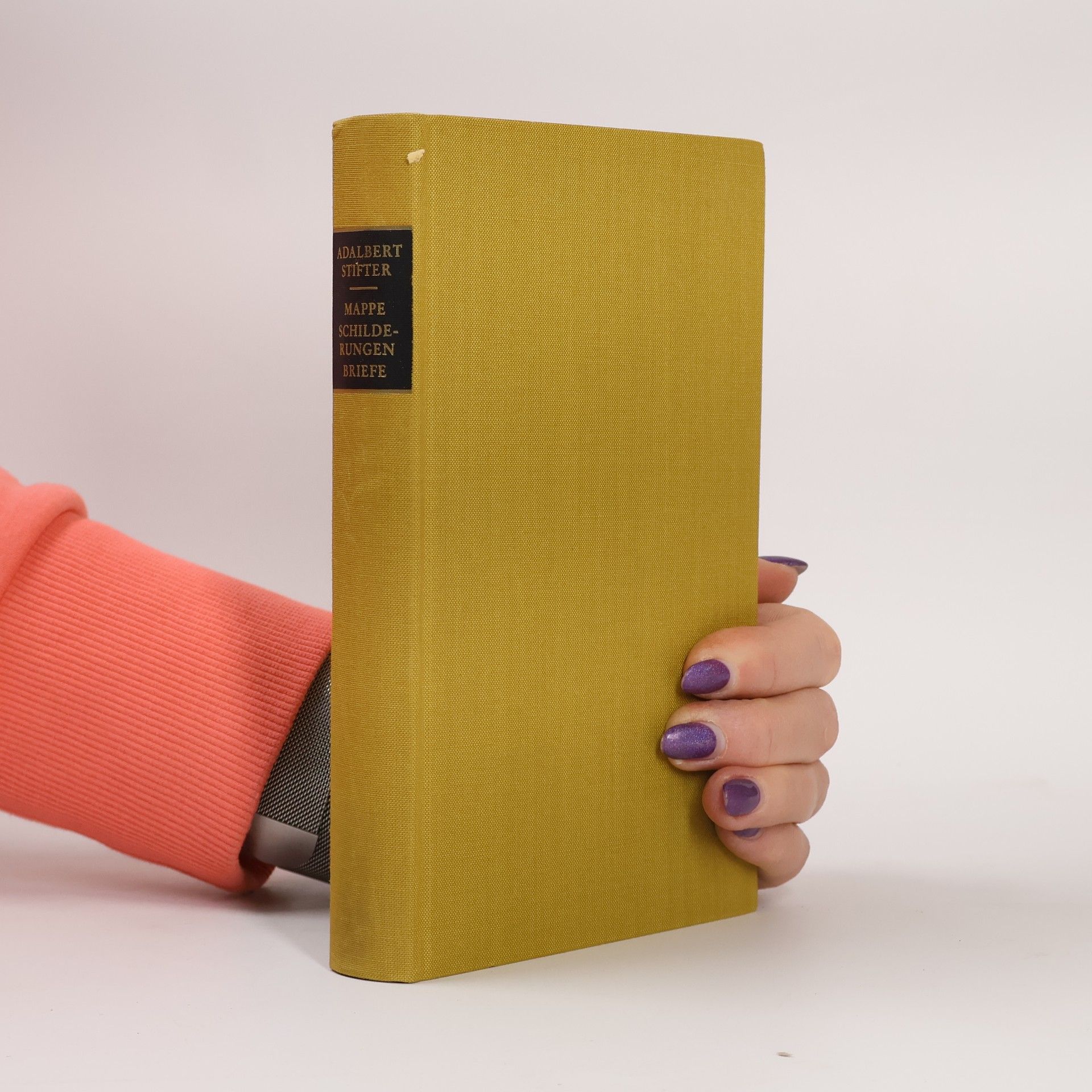 Adalbert Stifter Mappe, Schilderungen, Briefe