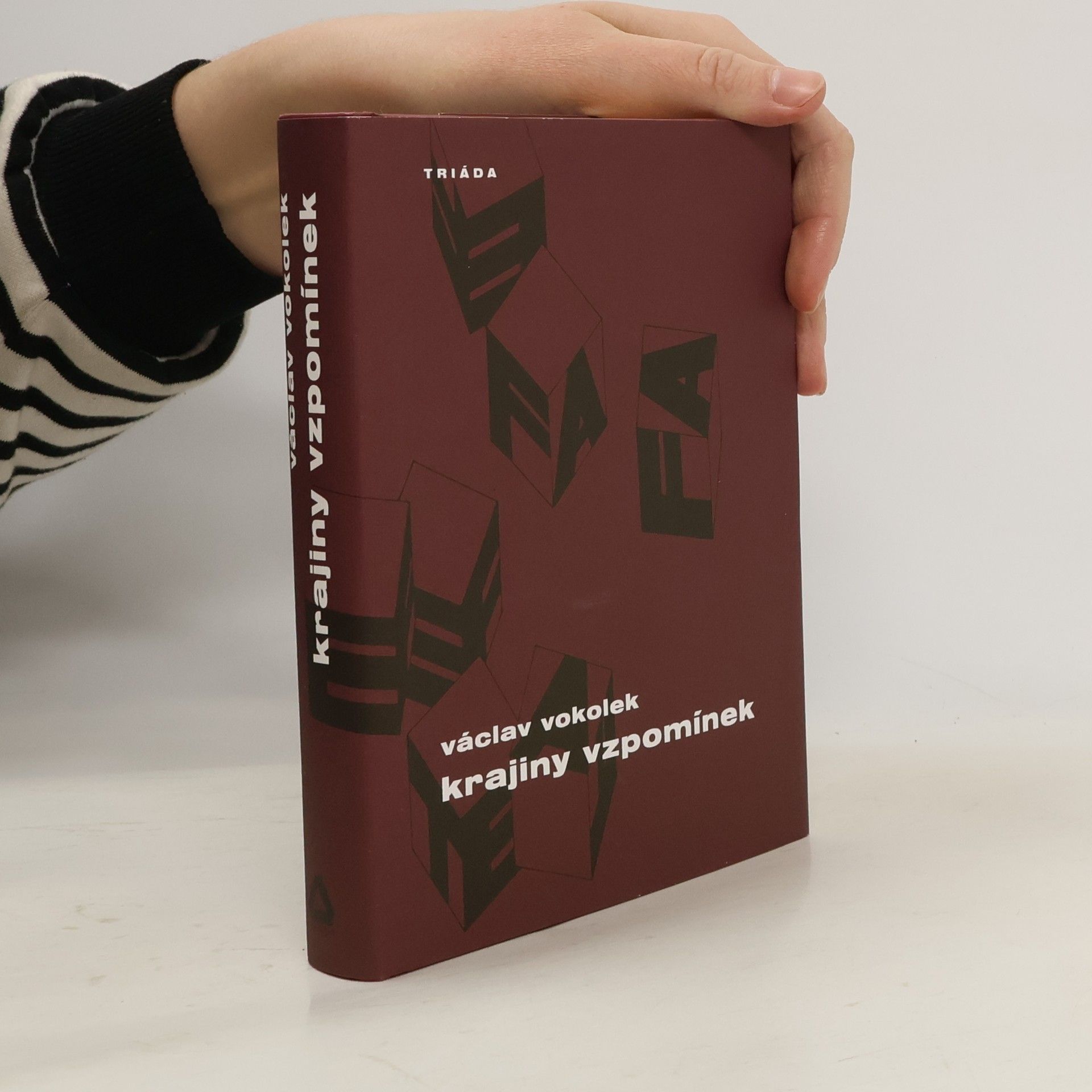 Václav Vokolek Krajiny vzpomínek