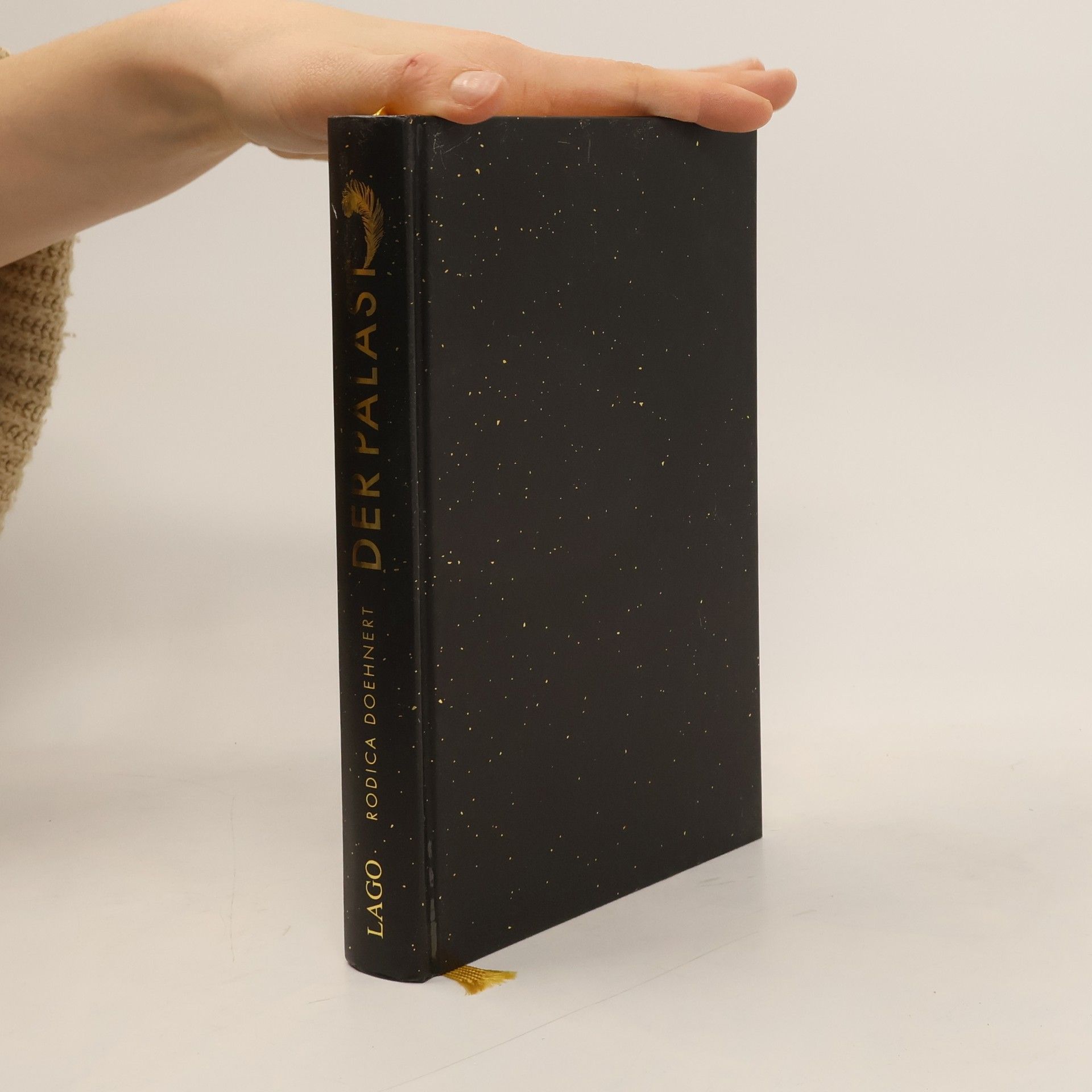 Rodica Döhnert Der Palast