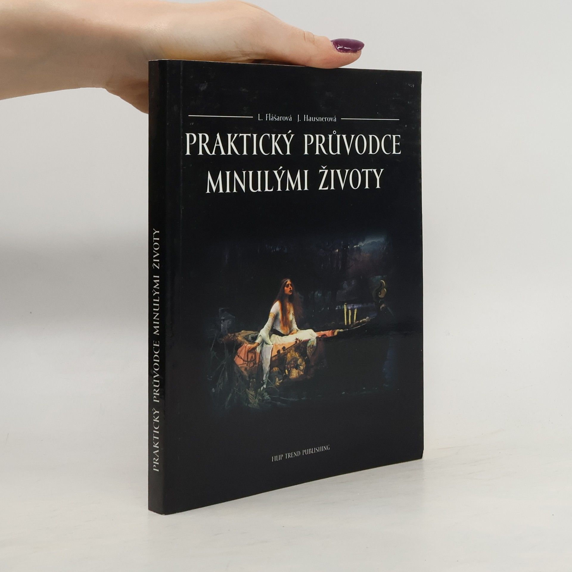 Praktický průvodce minulými životy