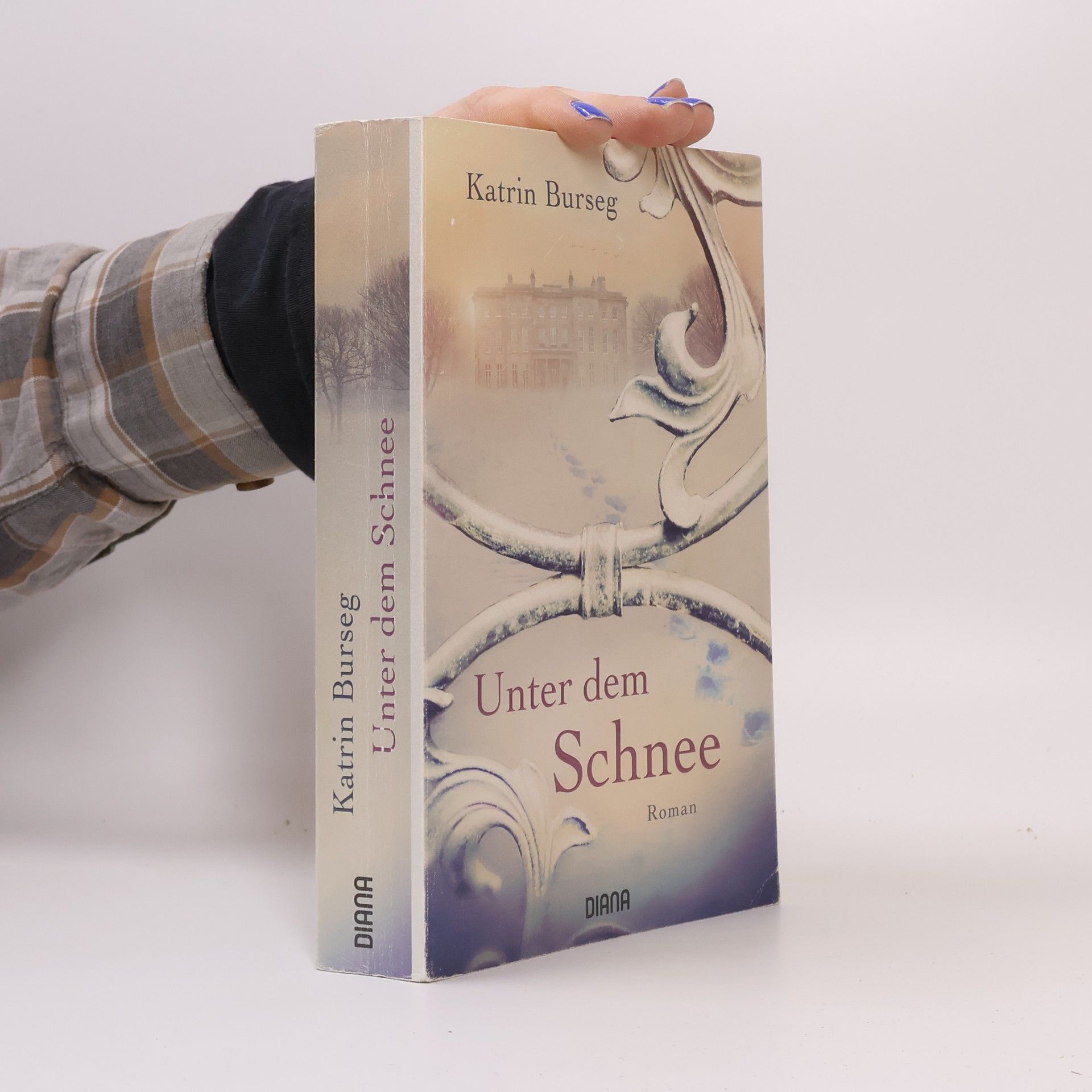 Katrin Burseg Unter dem Schnee
