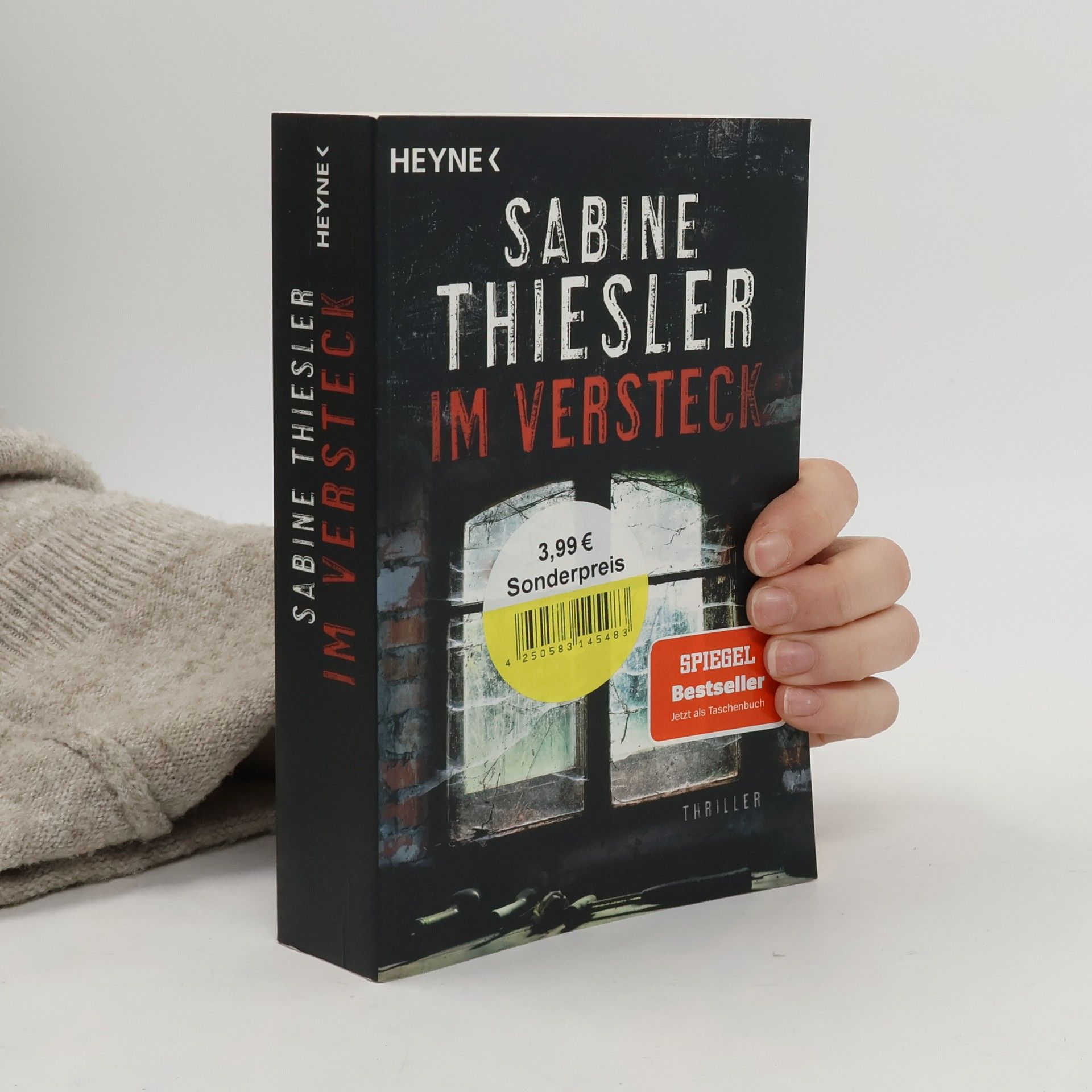 Sabine Thiesler Im Versteck