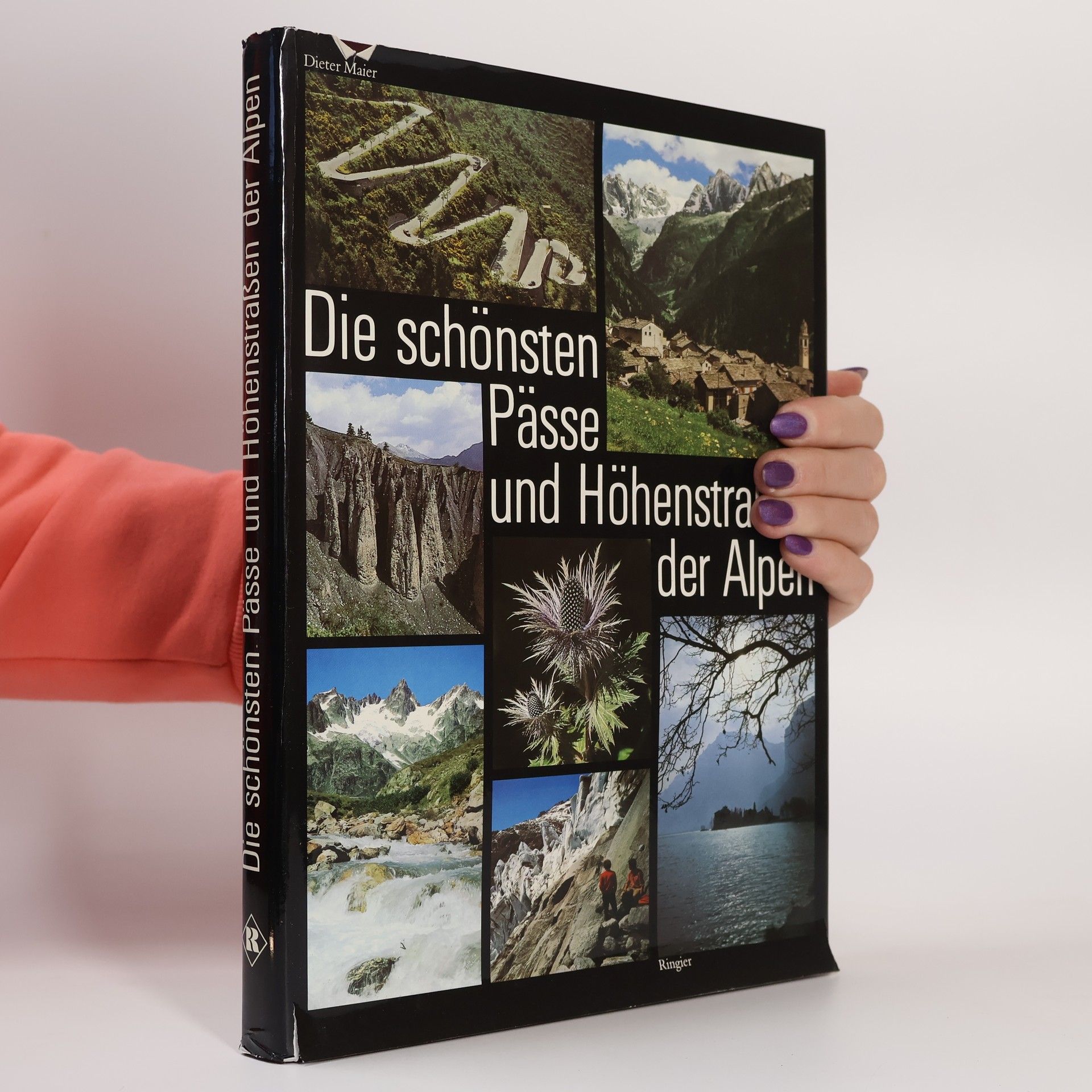 Dieter Maier Die schönsten Pässe und Höhenstraßen der Alpen