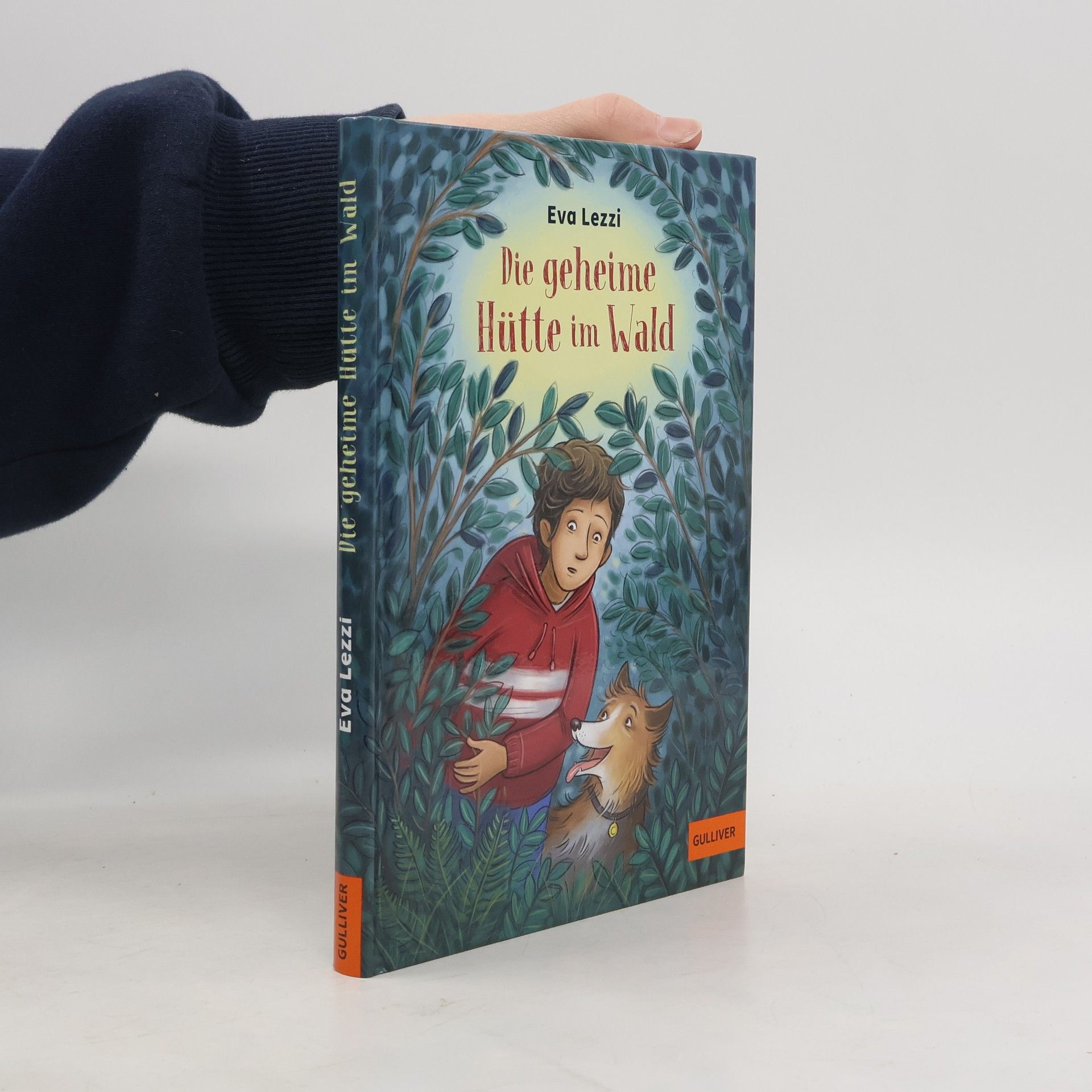 Eva Lezzi Die geheime Hütte im Wald