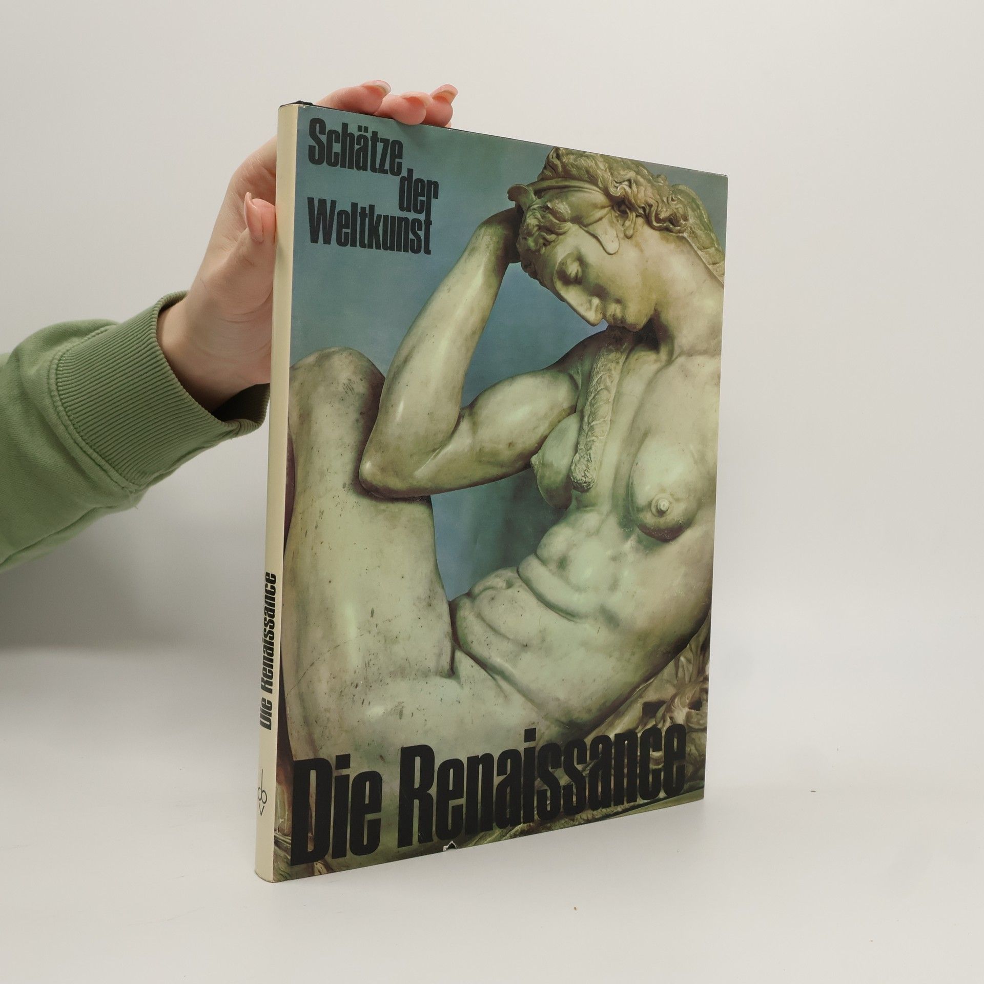 Andrew Martindale Die Renaissance