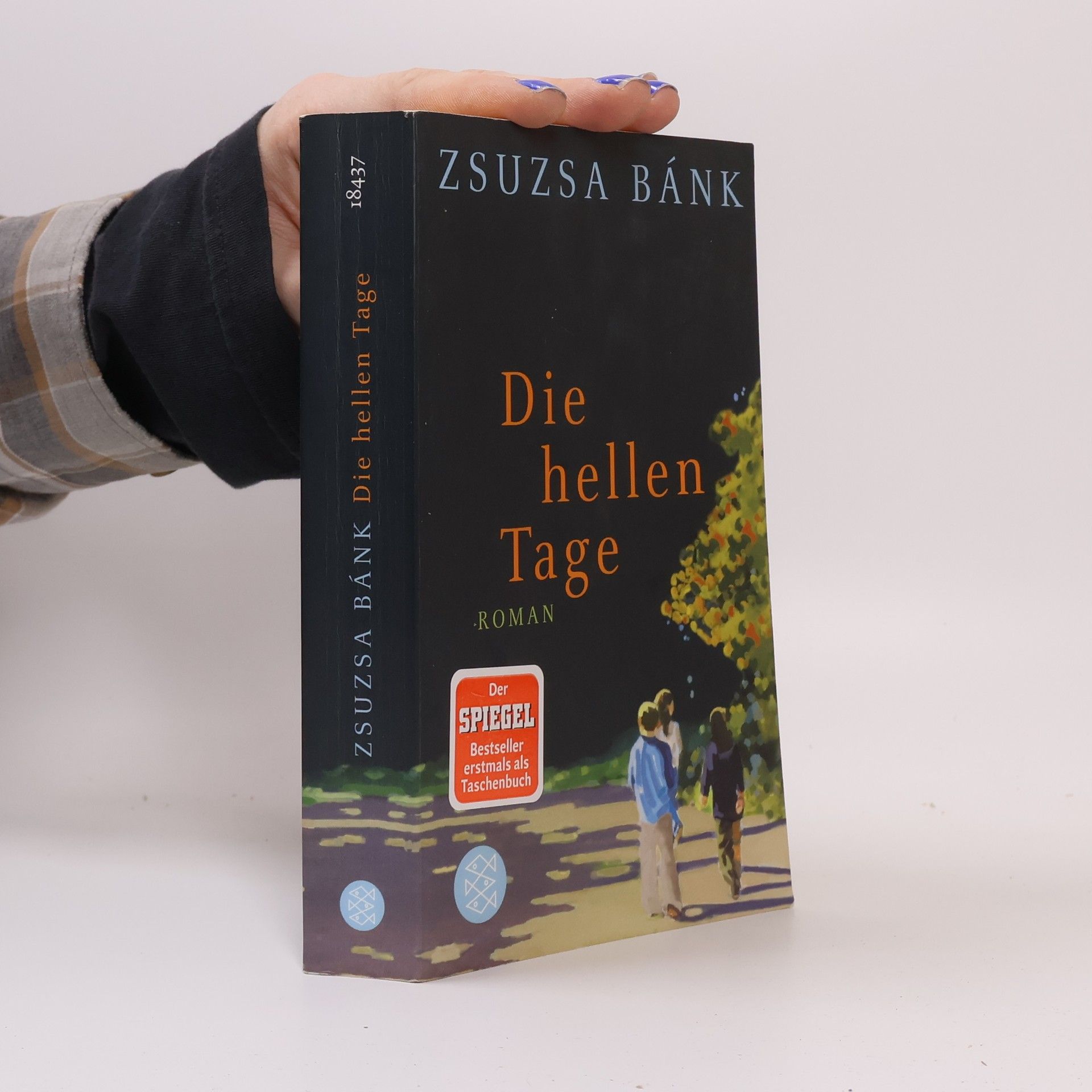 Zsuzsa Bánk Die hellen Tage