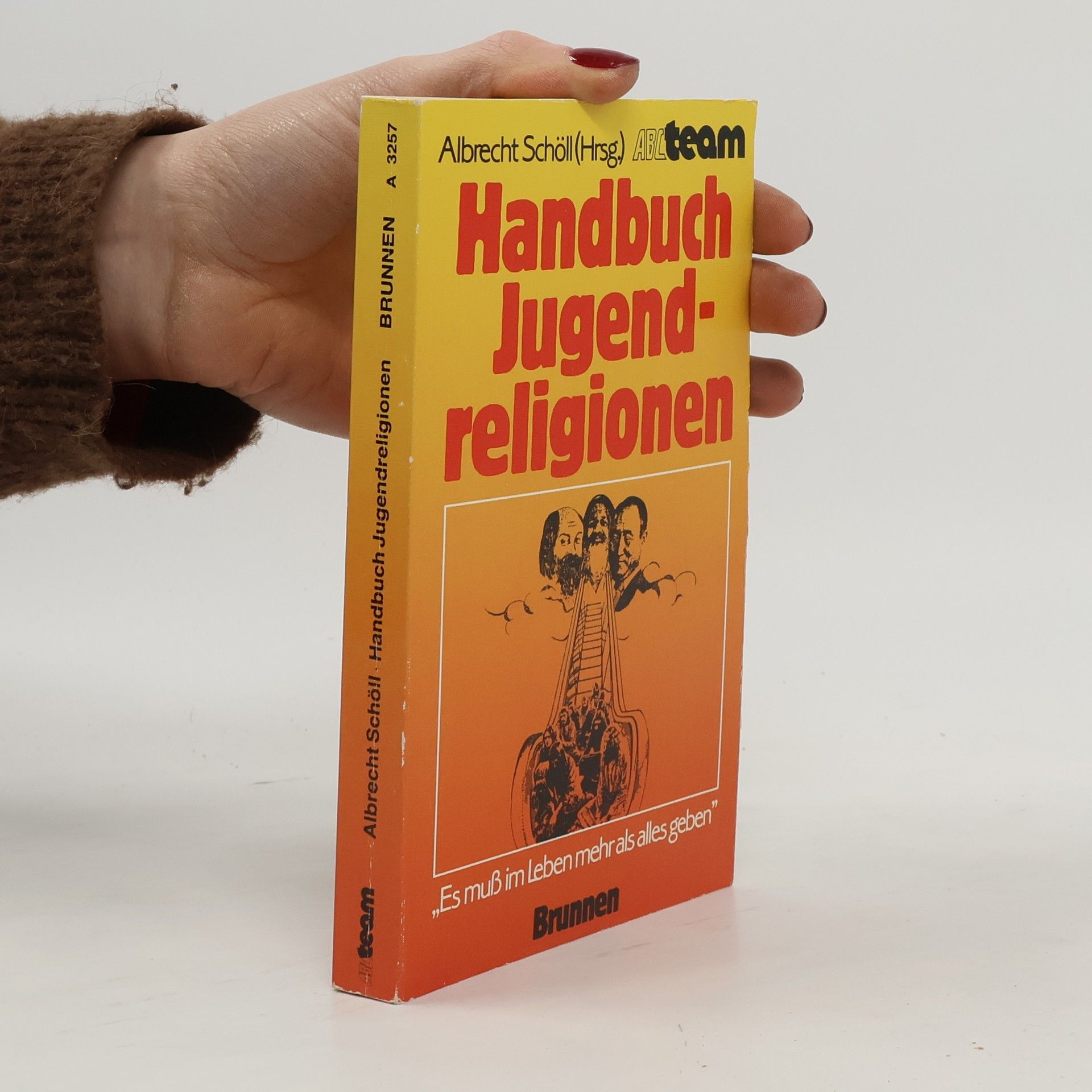 Albrecht Schöll Handbuch Jugendreligionen