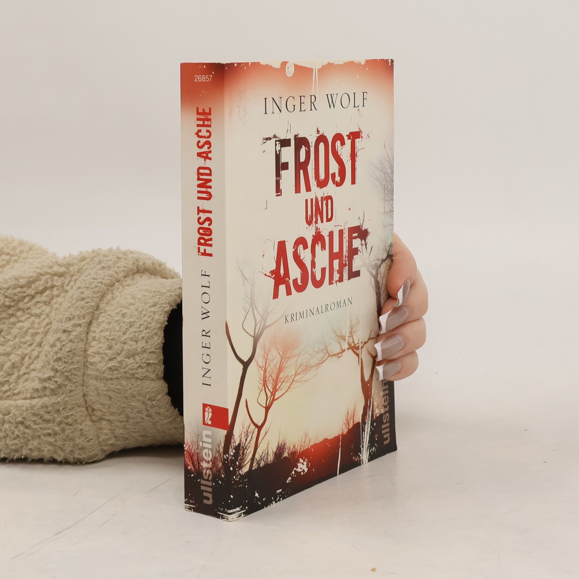 Inger Wolf Frost und Asche