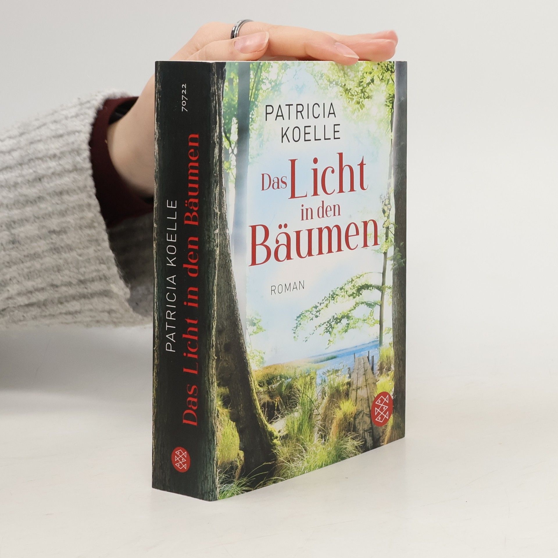 Patricia Koelle Das Licht in den Bäumen