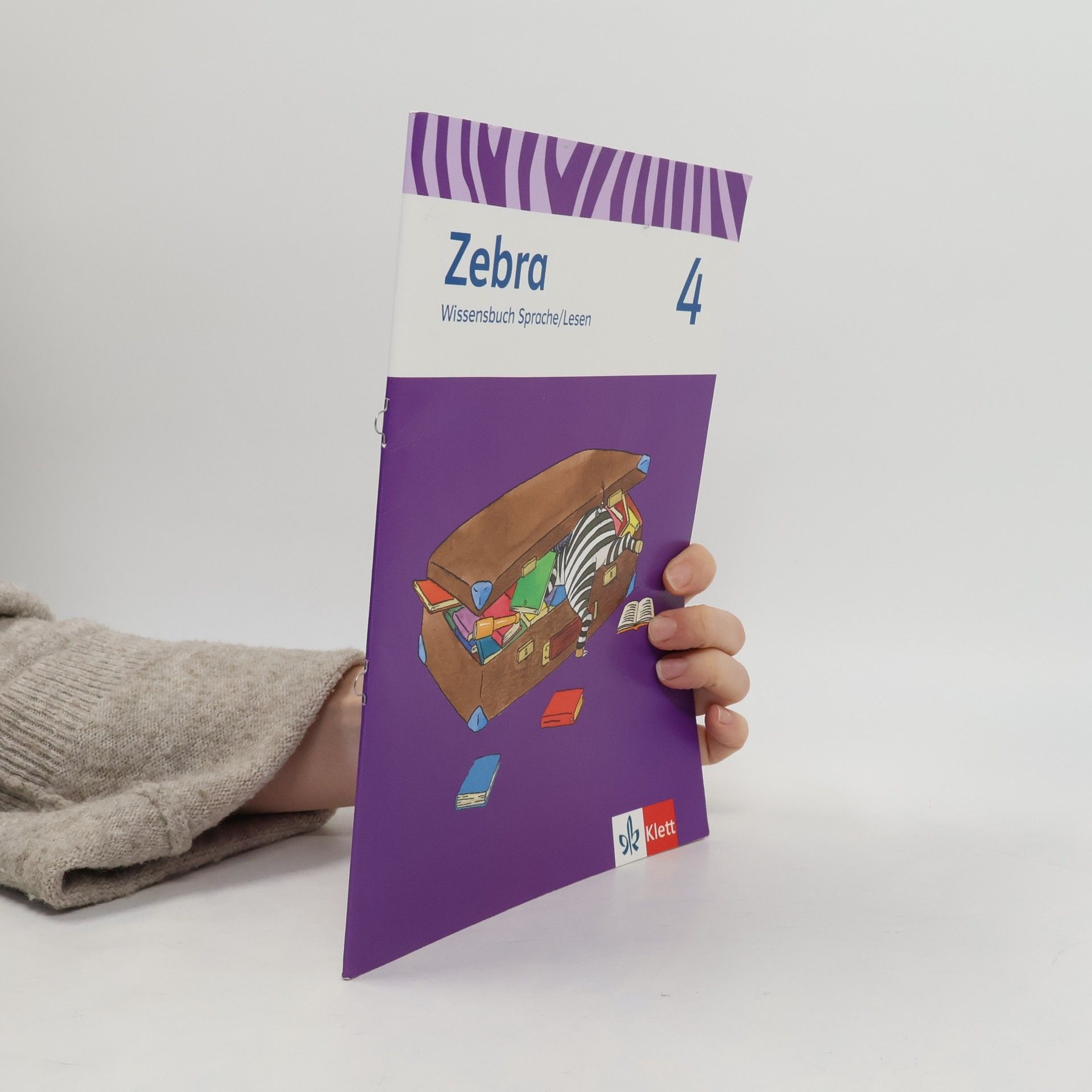Autorenkollektiv Zebra - 4: Wissensbuch Sprache/Lesen