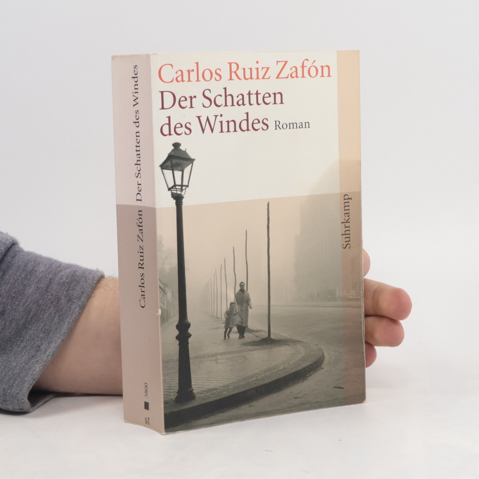 Carlos Ruiz Zafón Der Schatten des Windes