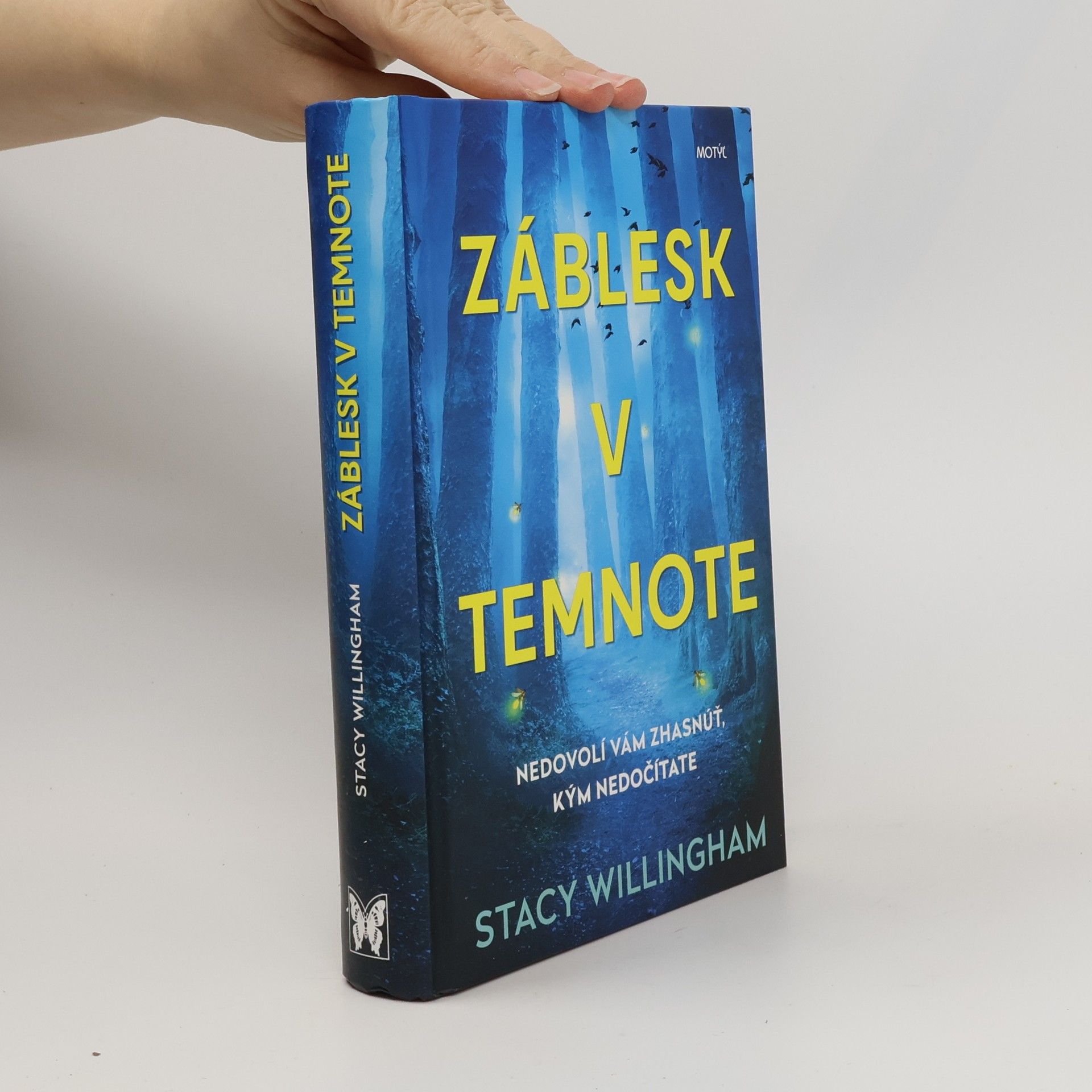 Stacy Willingham Záblesk v temnote
