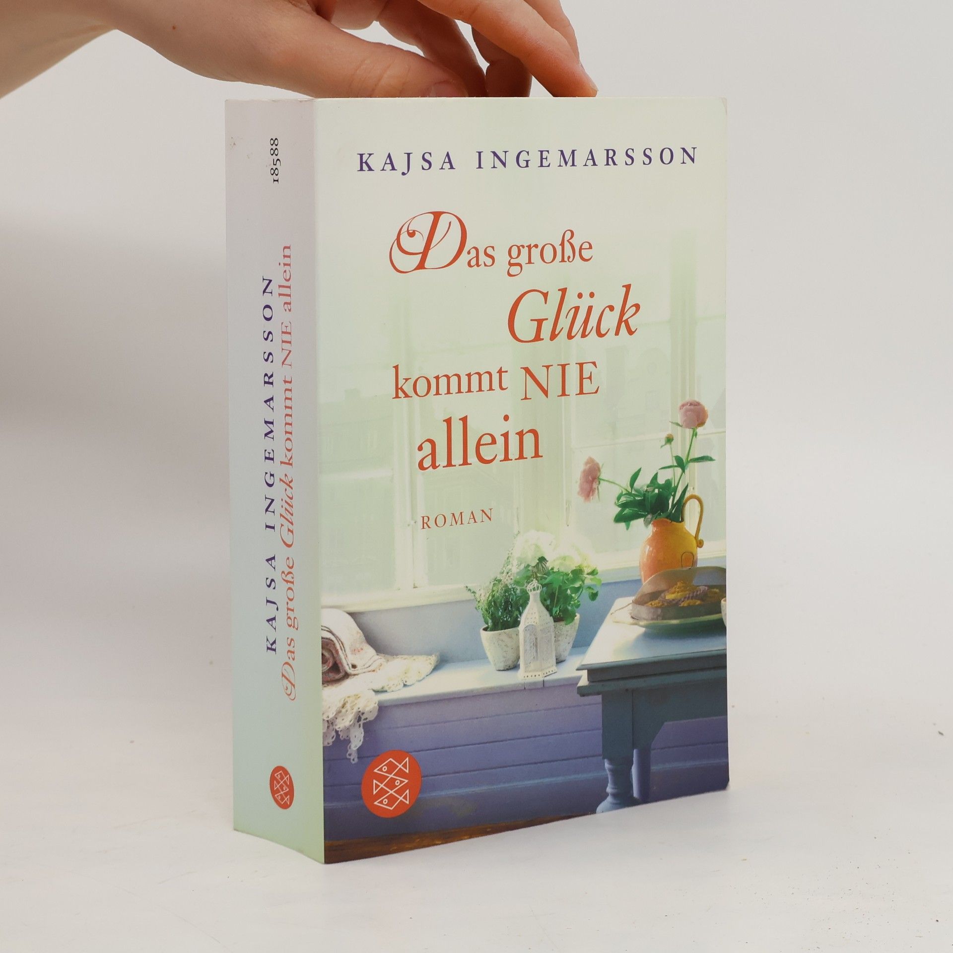 Kajsa Ingemarsson Das grose Glück kommt nie allein
