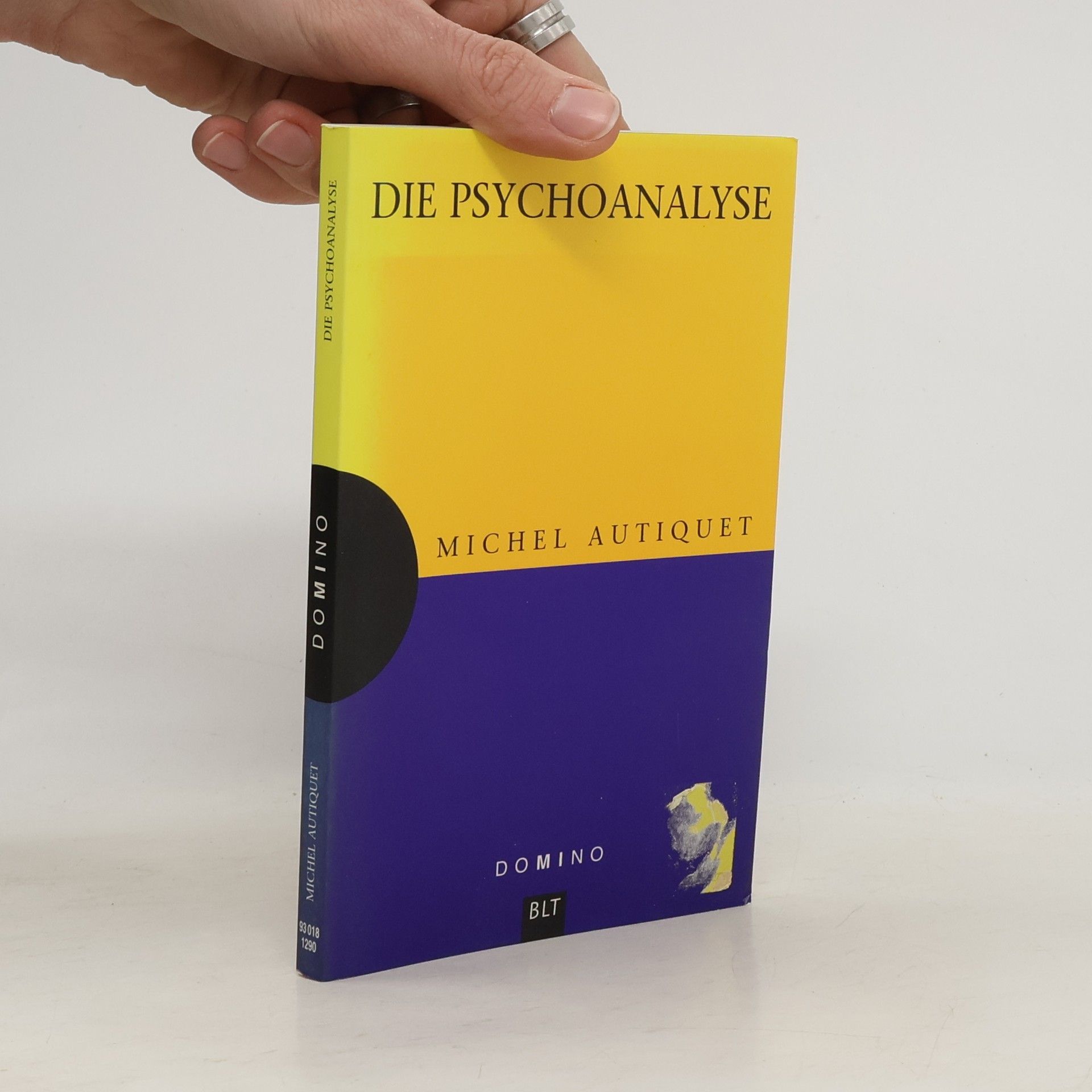 Michel Autiquet Die Psychoanalyse