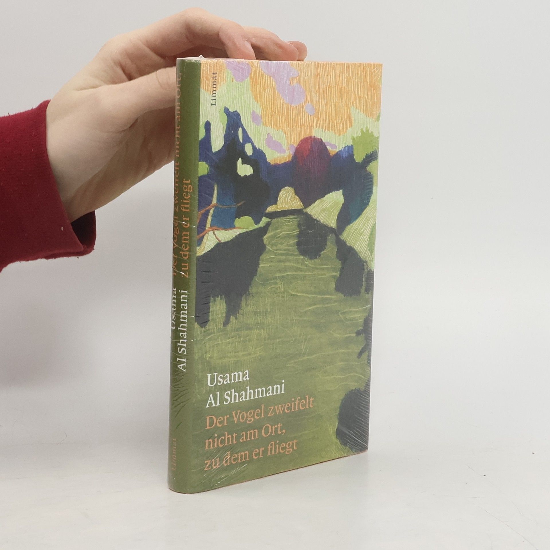 Usama Al Shahmani Der Vogel zweifelt nicht am Ort, zu dem er fliegt