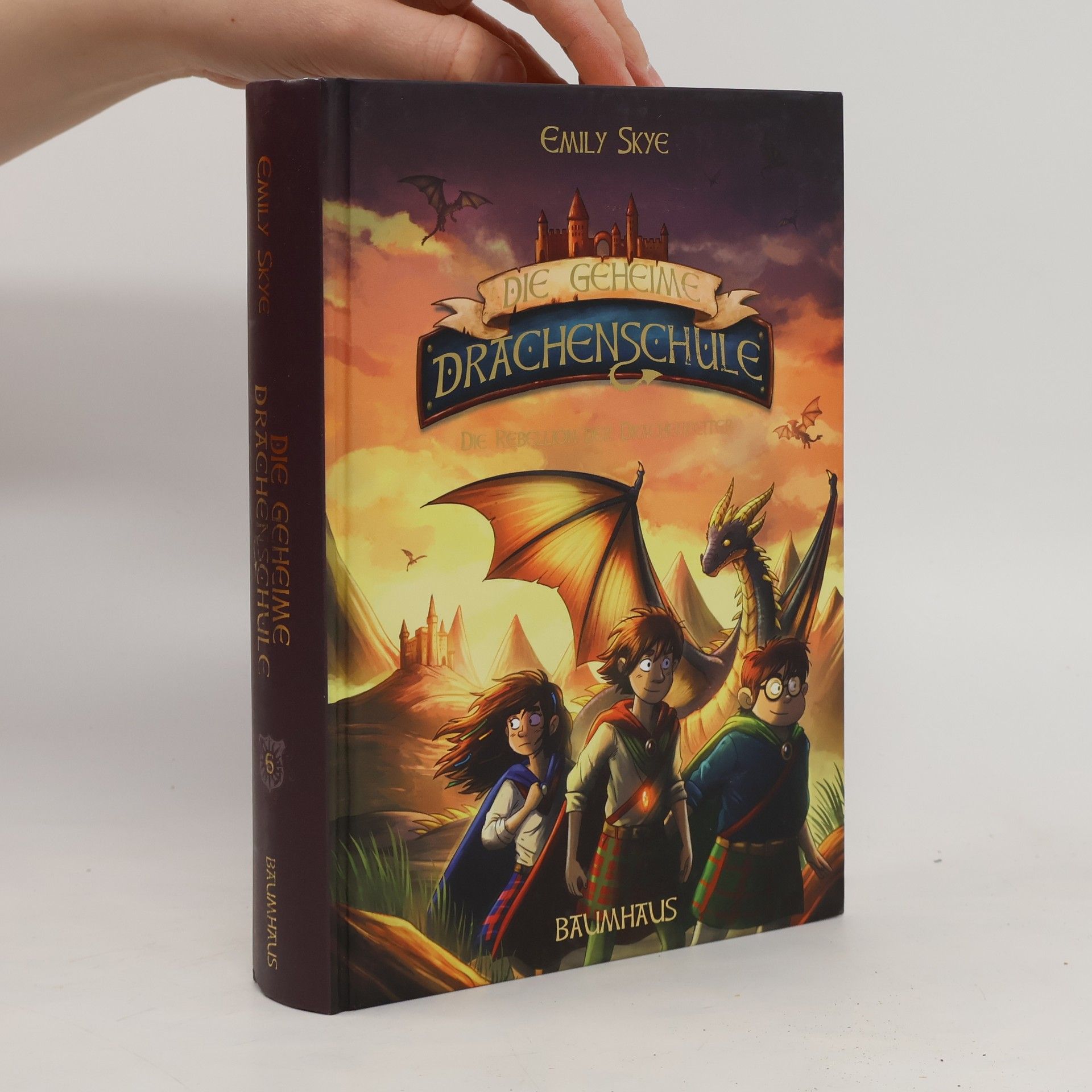 Emily Skye Die geheime Drachenschule - Die Rebellion der Drachenreiter