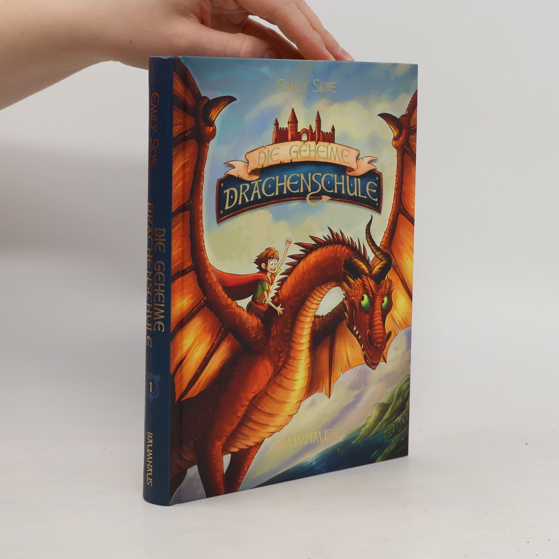 Emily Skye Die geheime Drachenschule