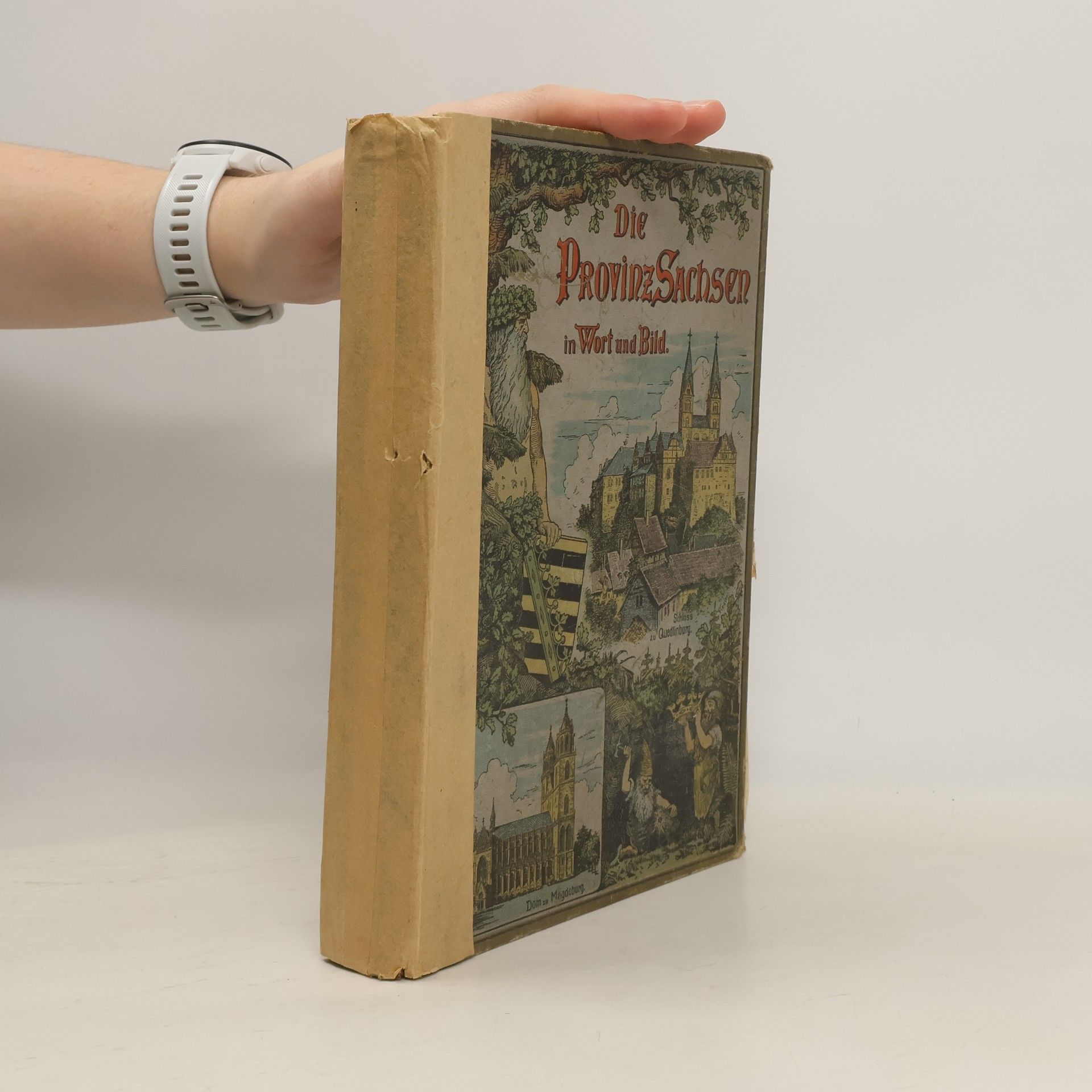 Autorenkollektiv Die Provinz Sachsen in Wort und Bild