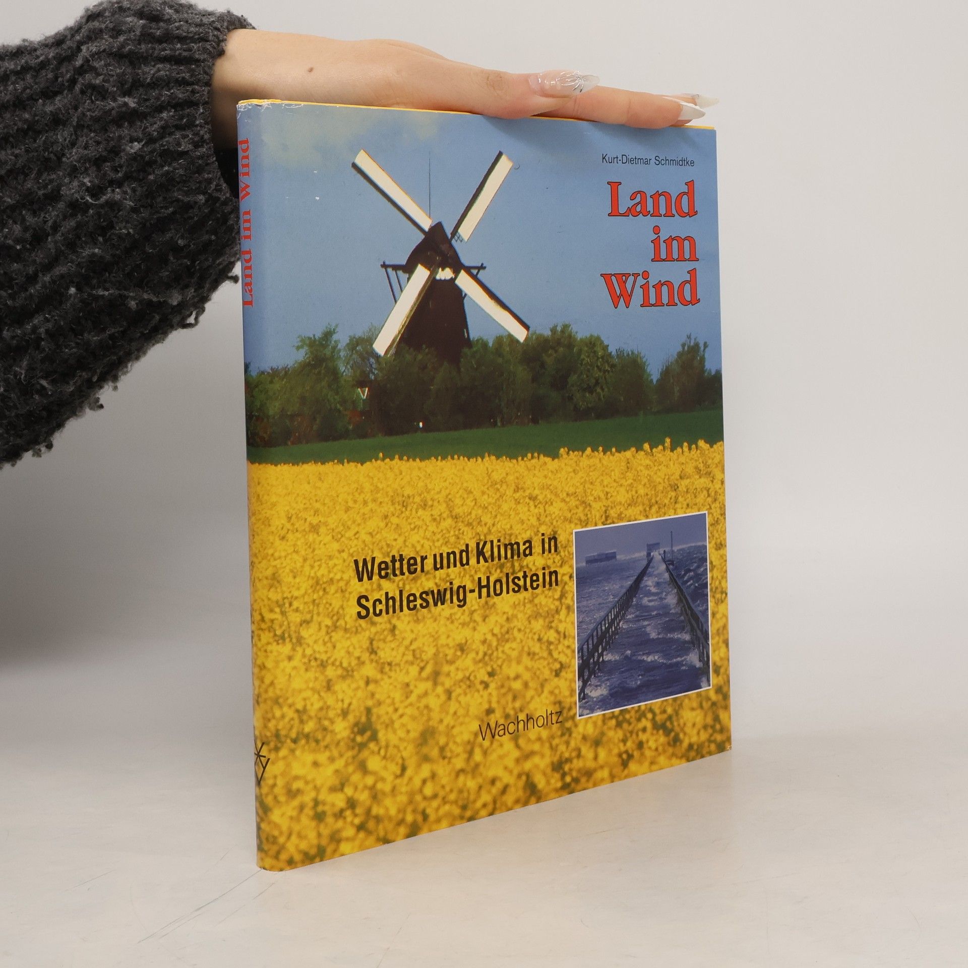 Kurt-Dietmar Schmidtke Land im Wind