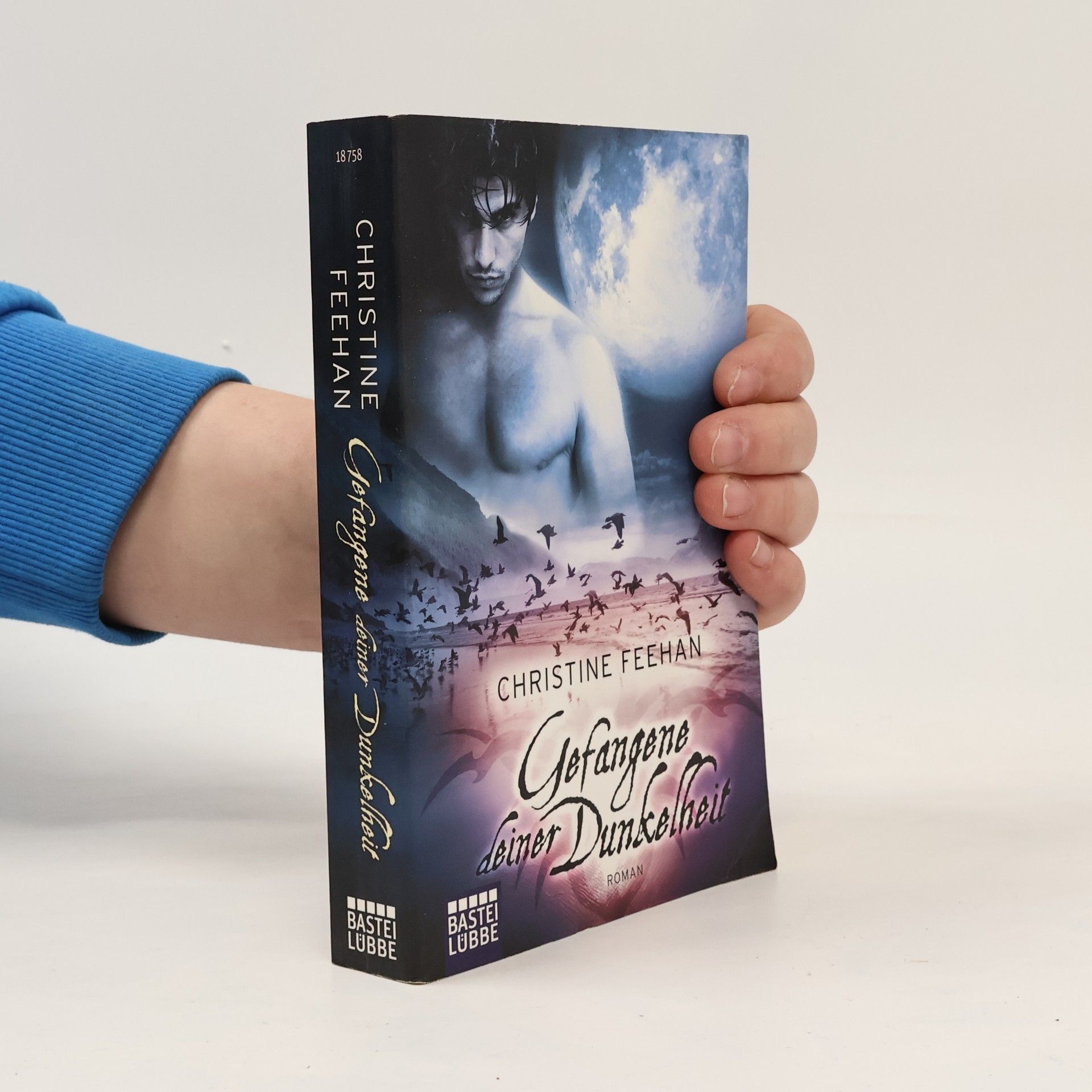 Christine Feehan Gefangene deiner Dunkelheit