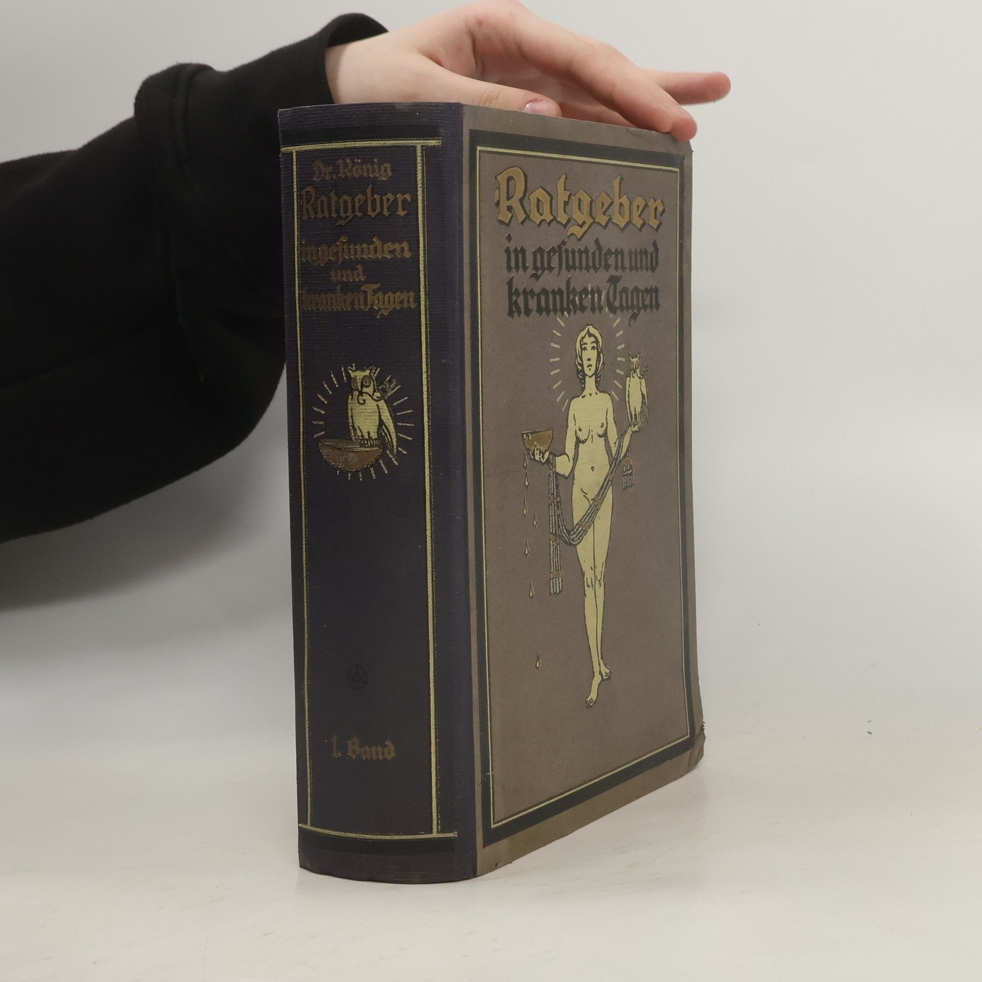Franz König Ratgeber in gesunden und kranken Tagen I.