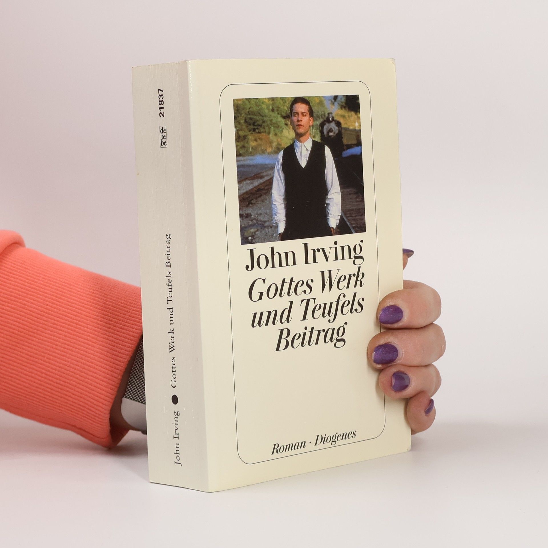 John Irving Gottes Werk und Teufels Beitrag