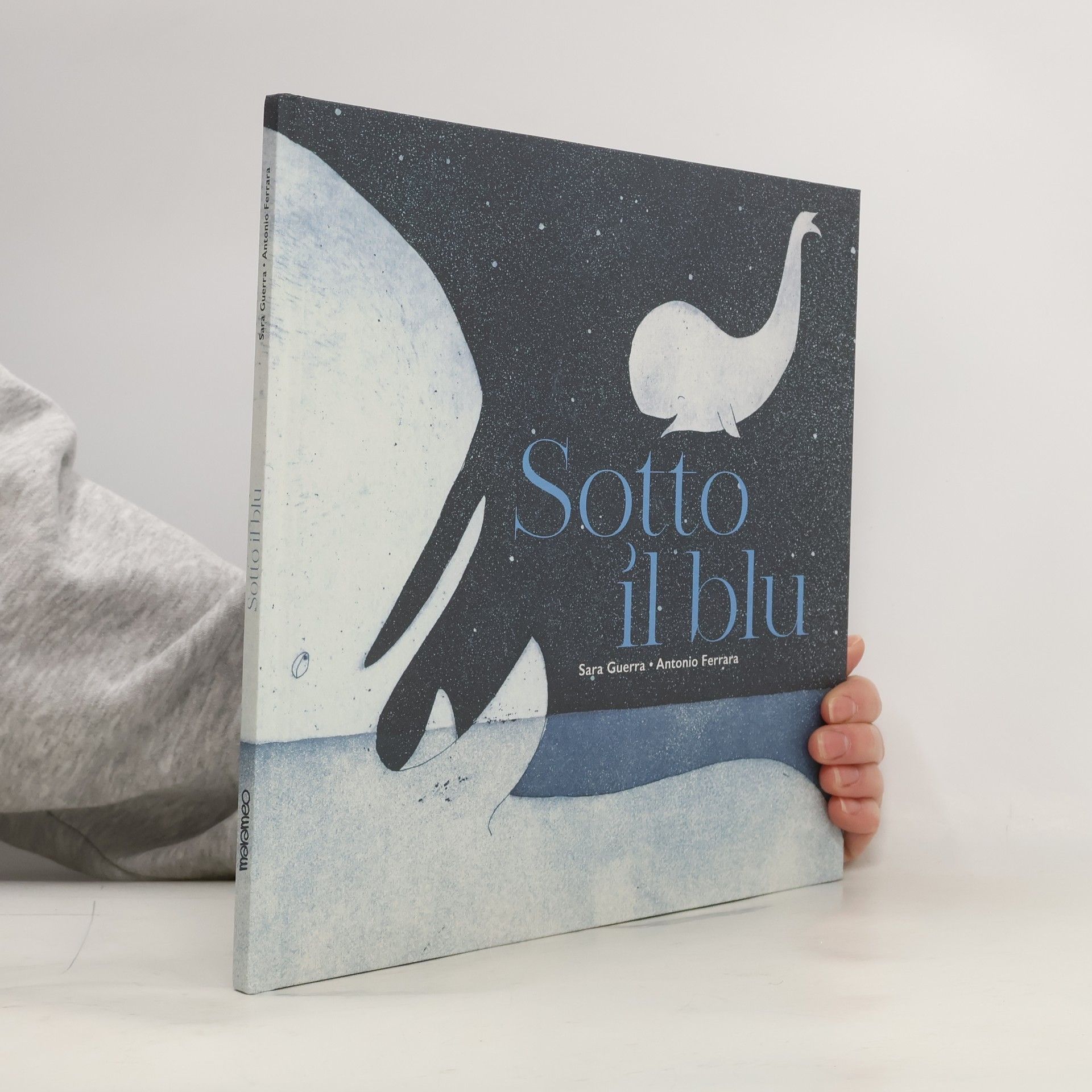 Sotto il blu. Ediz. illustrata