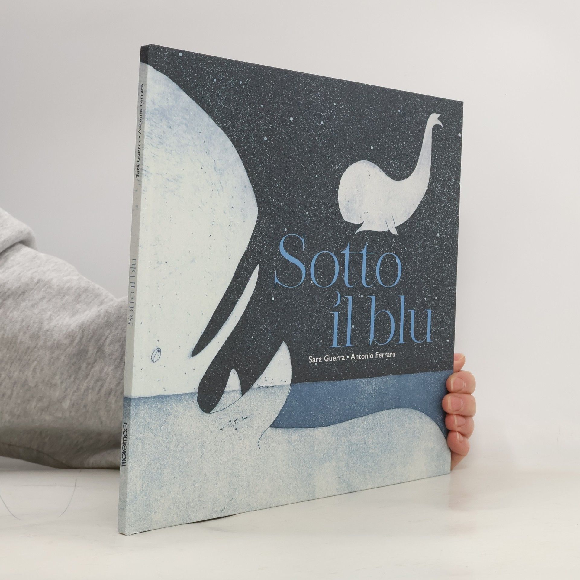 Sotto il blu. Ediz. illustrata