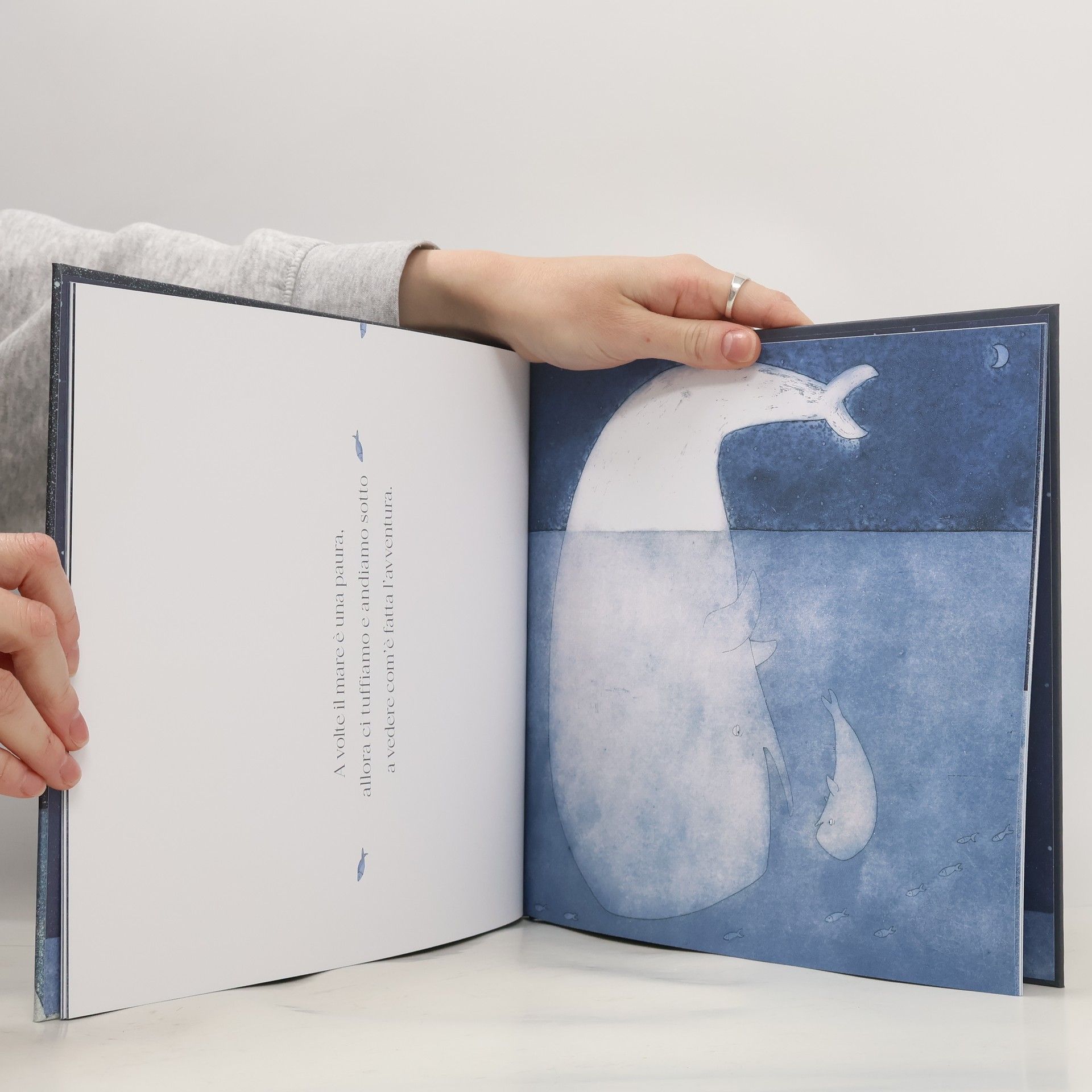 Antonio Ferrara Sotto il blu. Ediz. illustrata