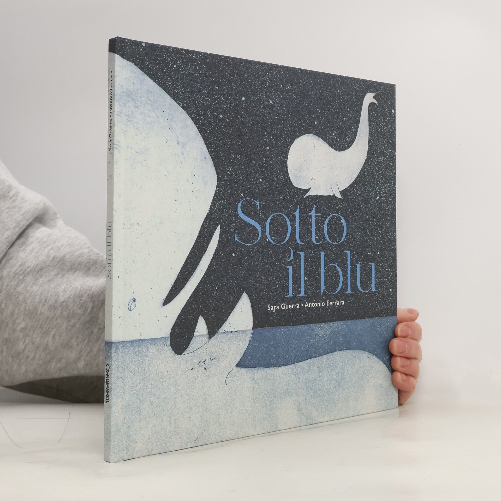 Sotto il blu. Ediz. illustrata