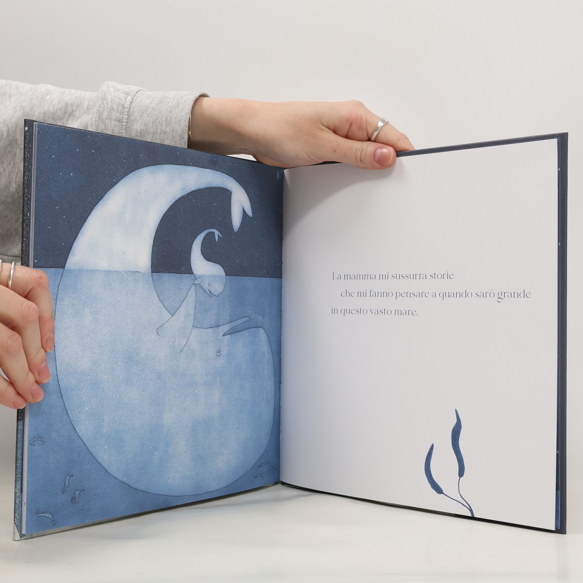 Antonio Ferrara Sotto il blu. Ediz. illustrata