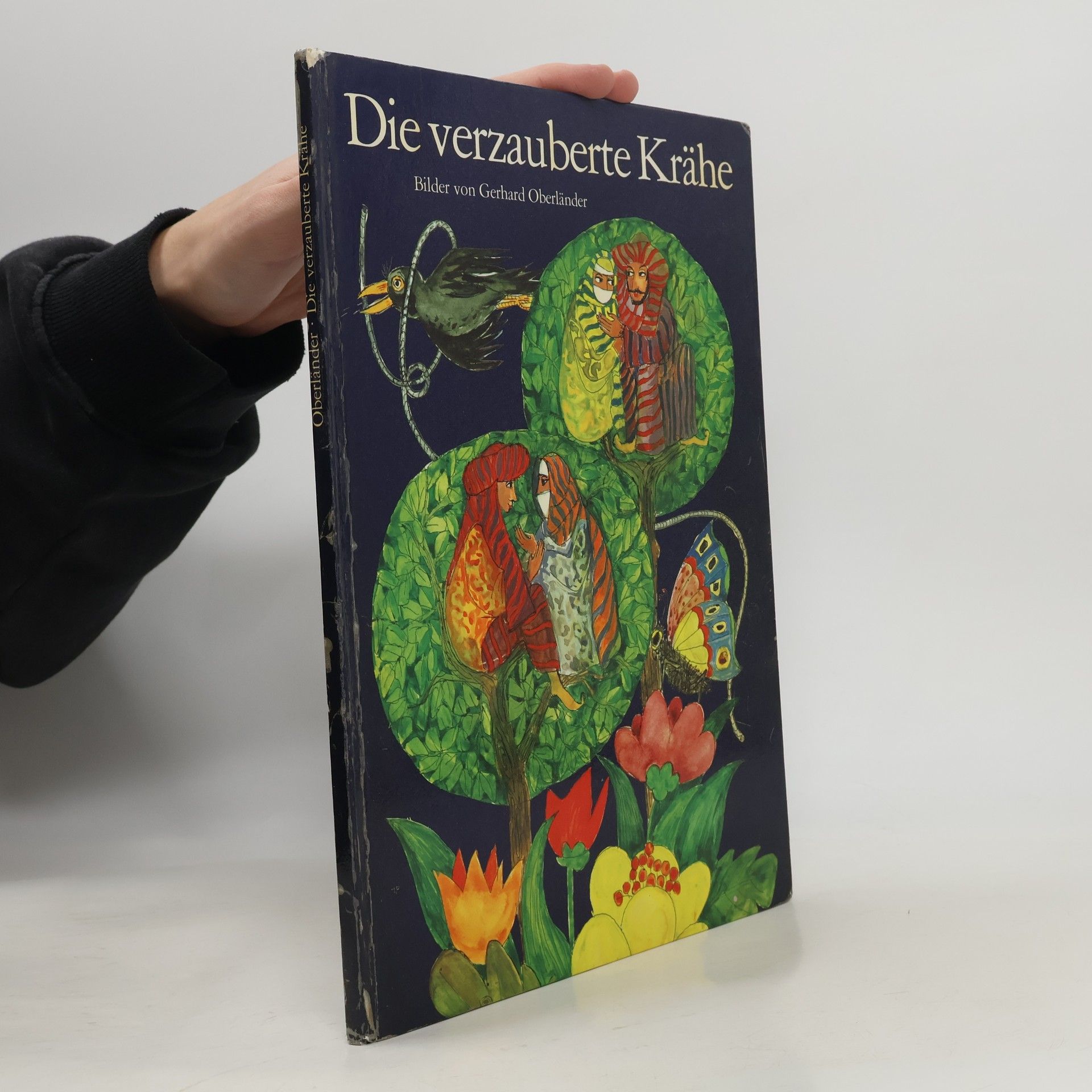 Die verzauberte Krähe