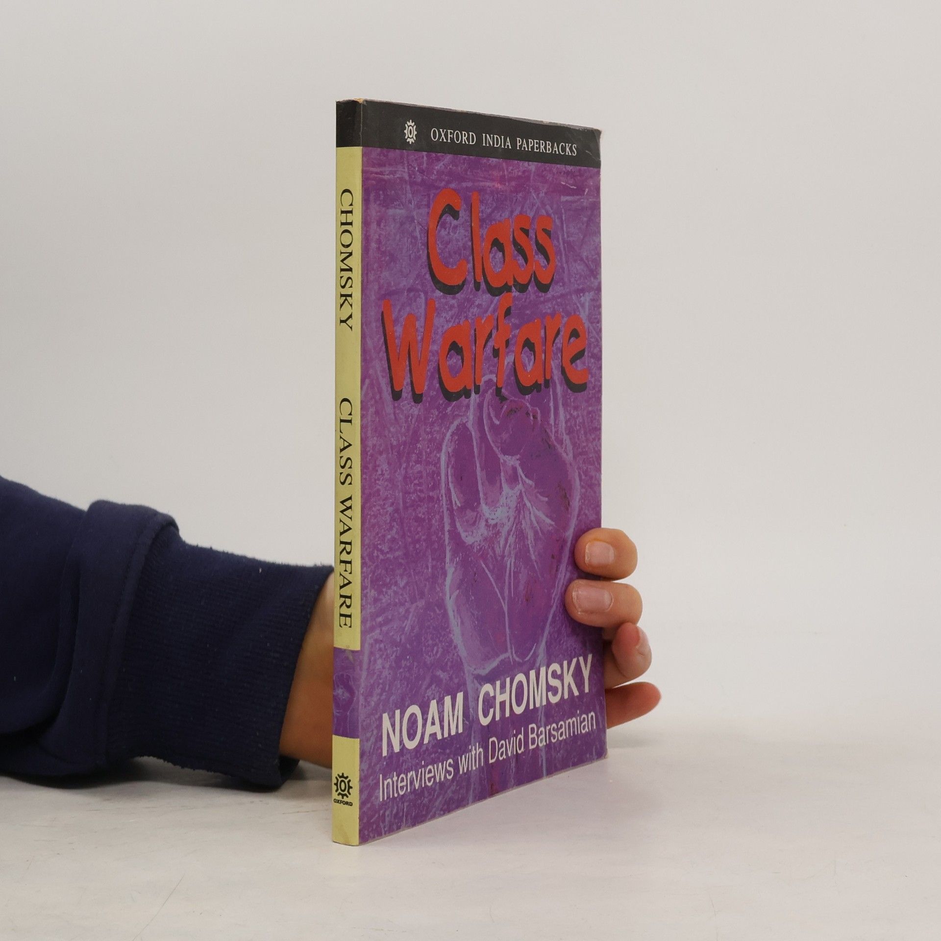 Noam Chomsky Class Warfare