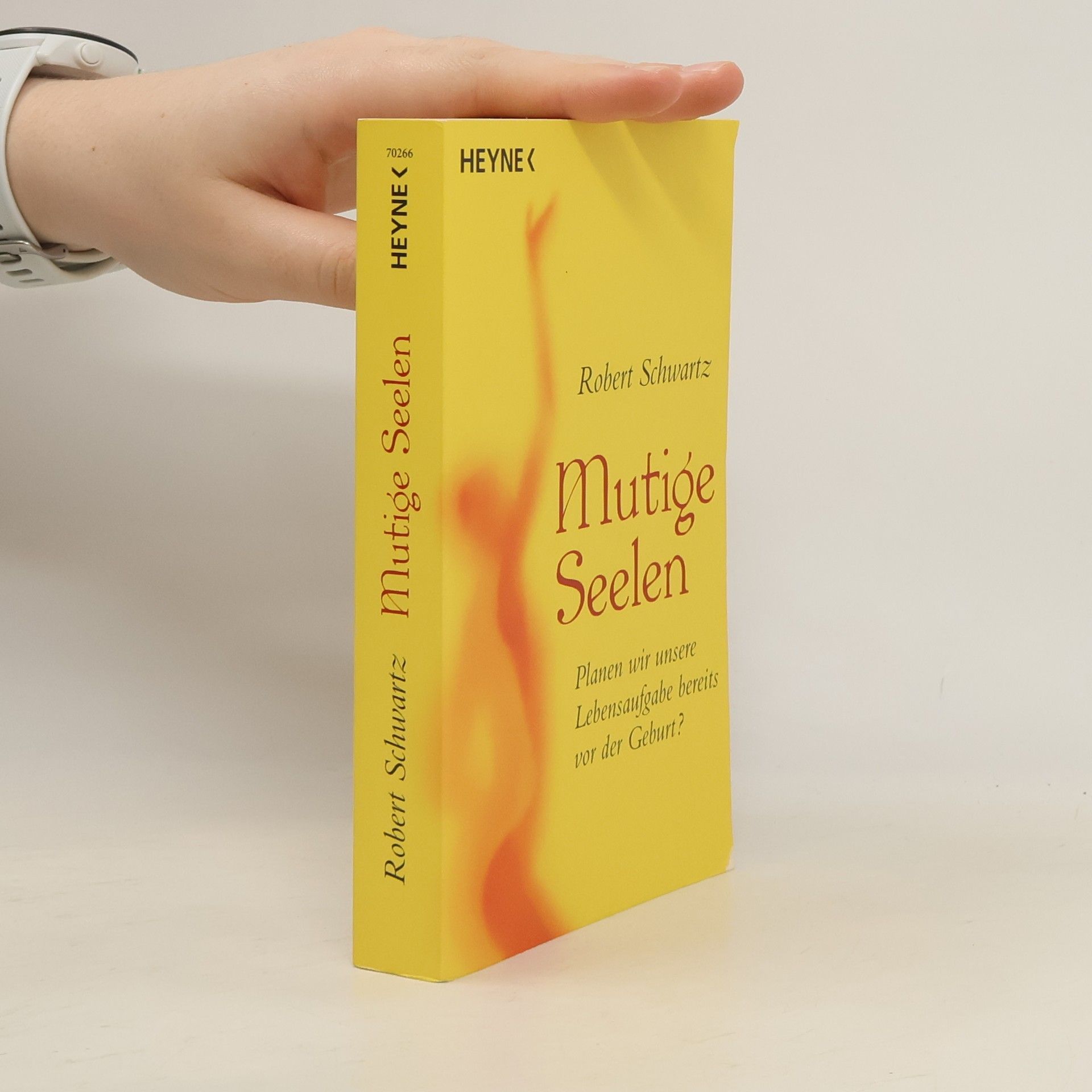 Robert Schwartz Mutige Seelen