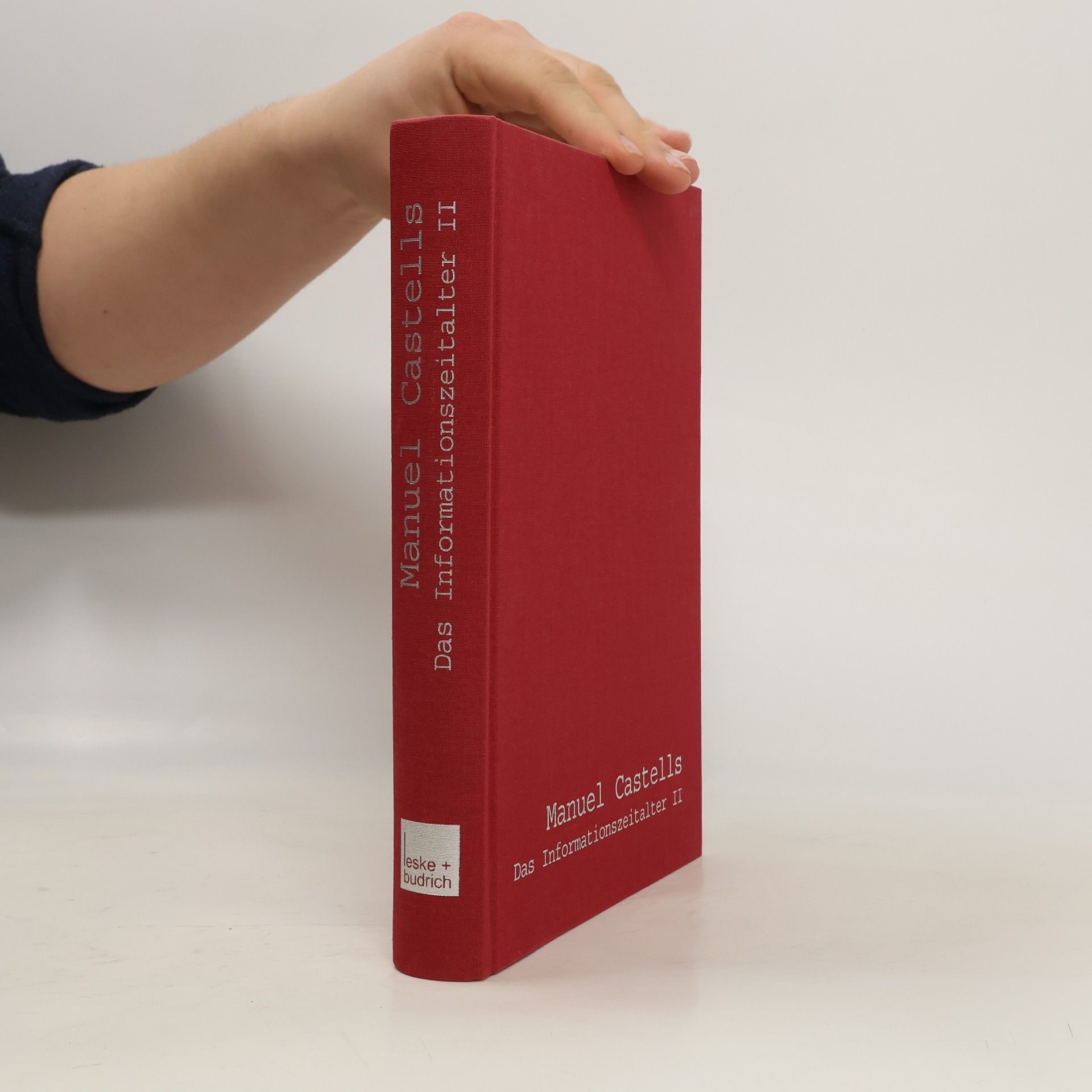 Manuel Castells Das Informationszeitalter