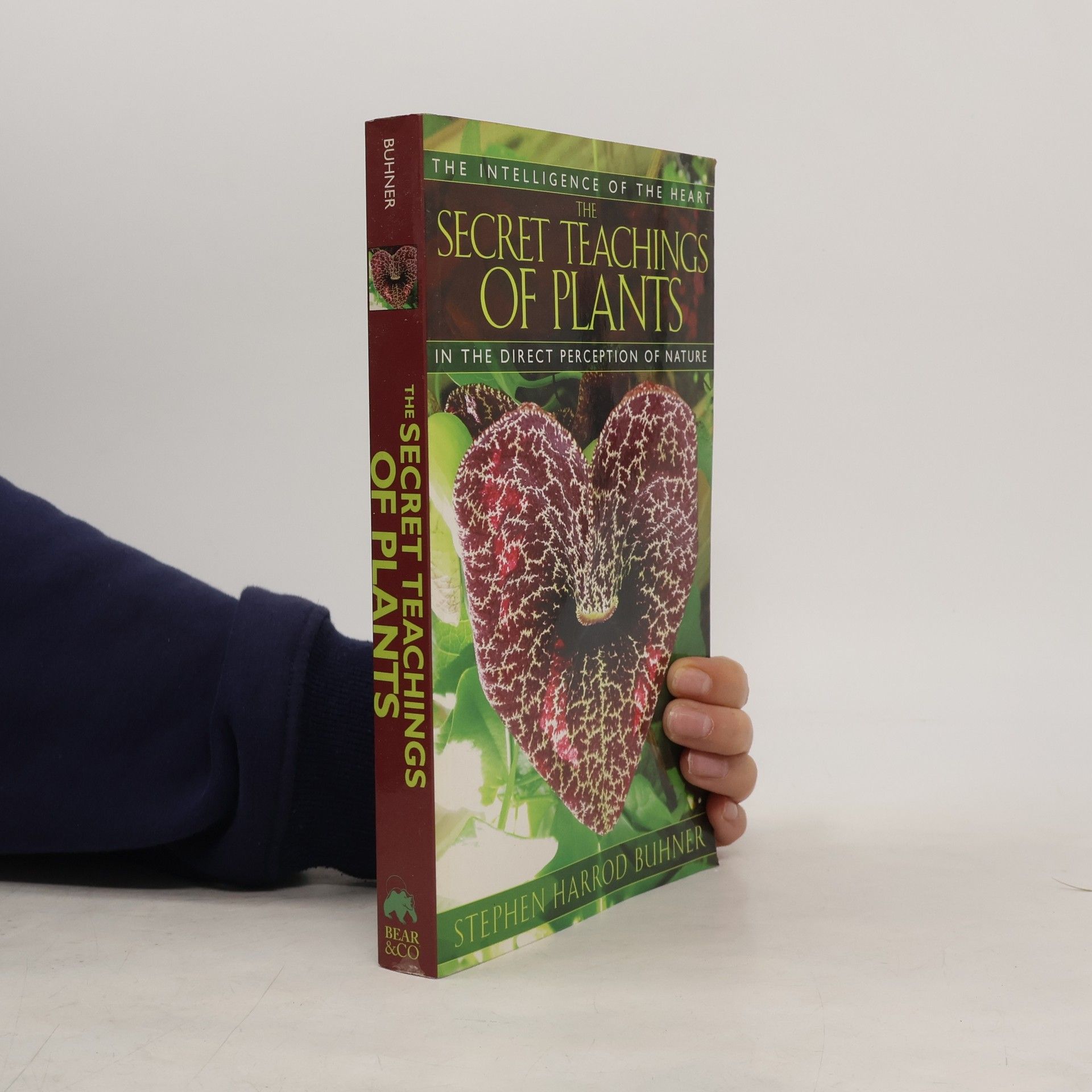 Stephen Harrod Buhner The Secret Teachings of Plants