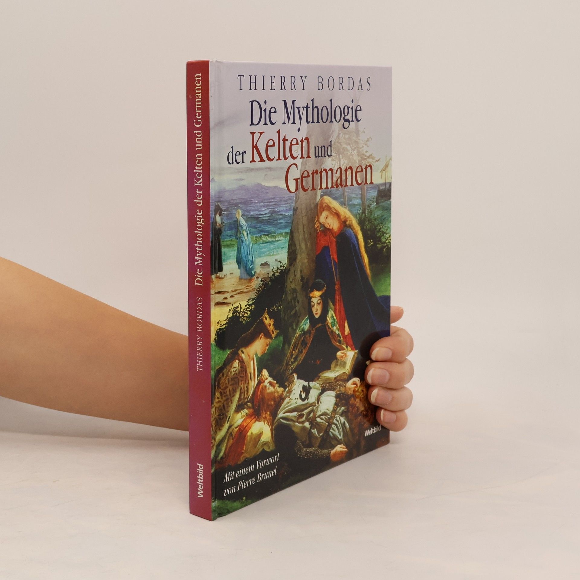 Thierry Bordas Die Mythologie Der Kelten und Germanen